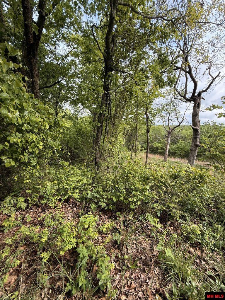 002-07477-000 Miller Drive