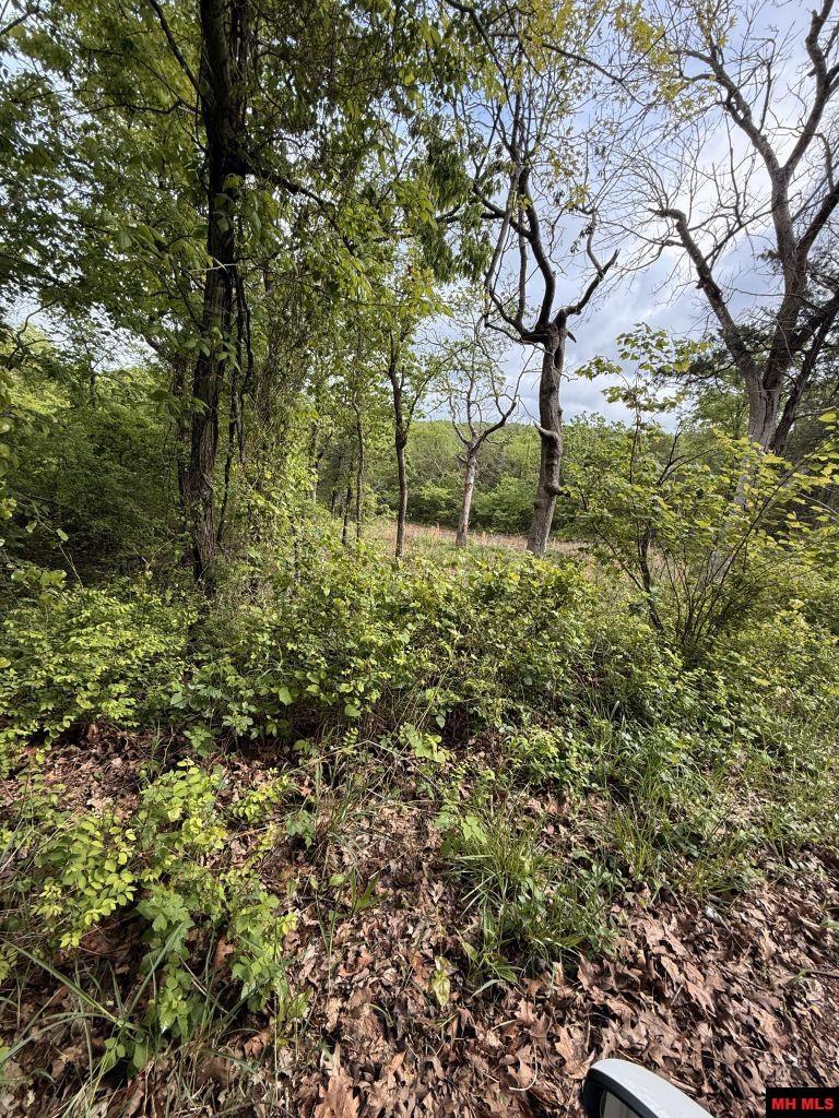 002-07477-000 Miller Drive