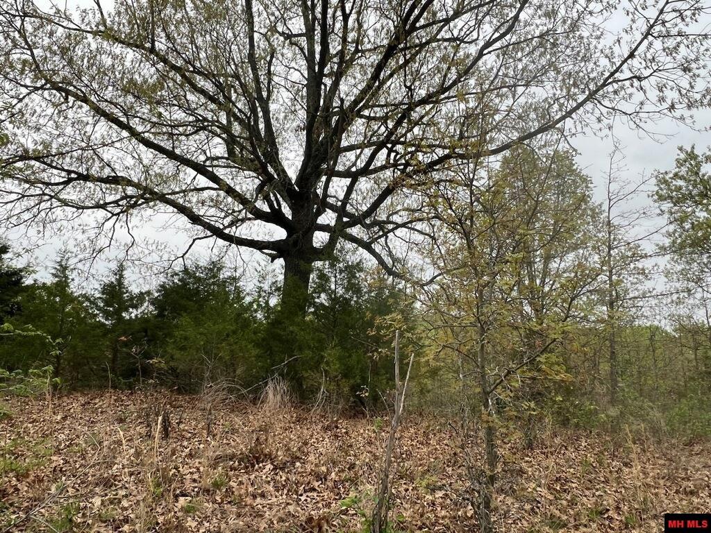 1703050002007 State Hwy D