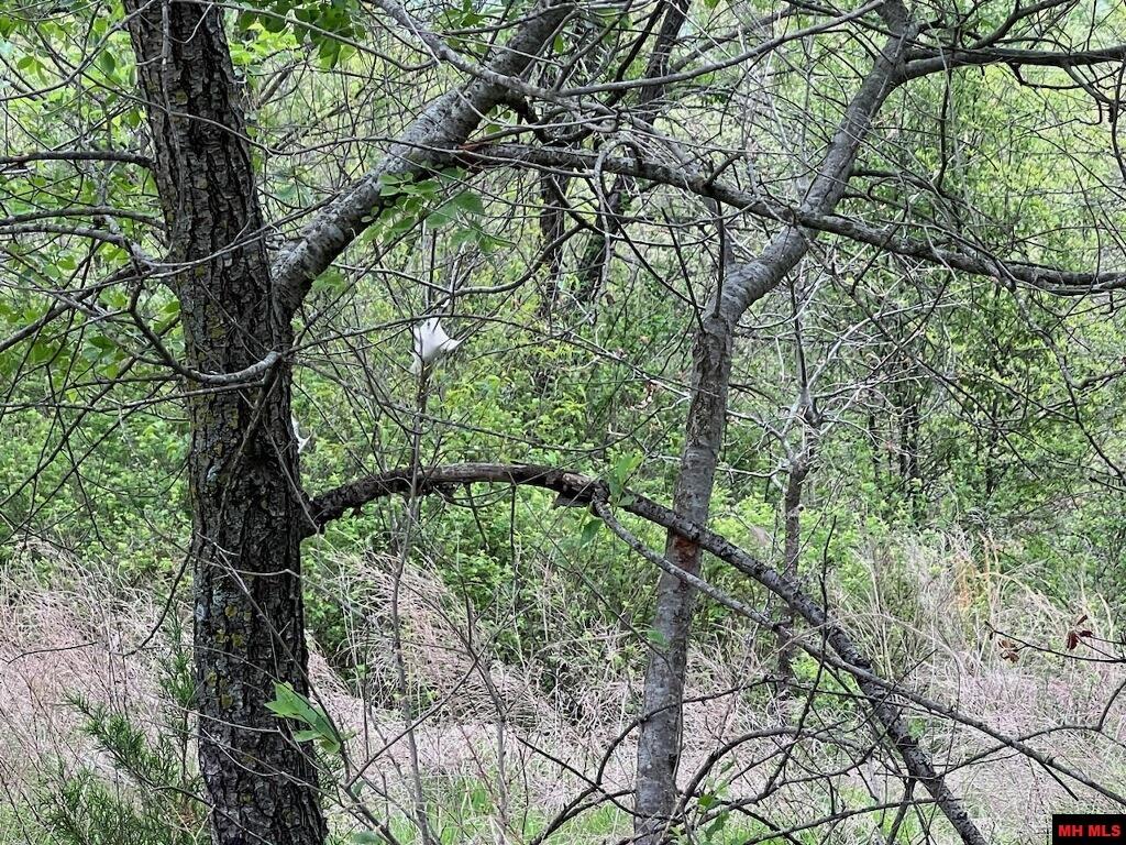 1703050002007 State Hwy D