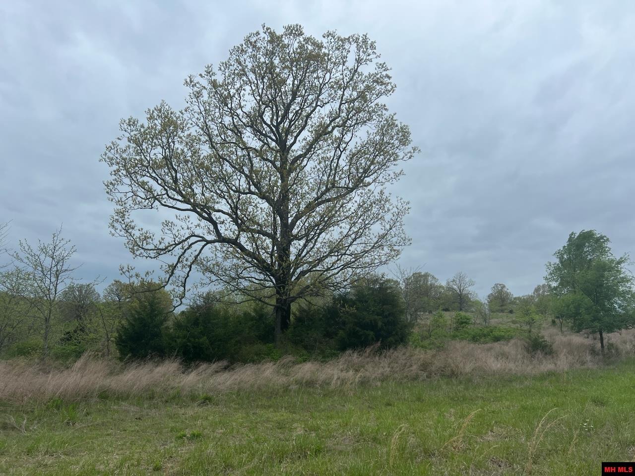 1703050002007 State Hwy D