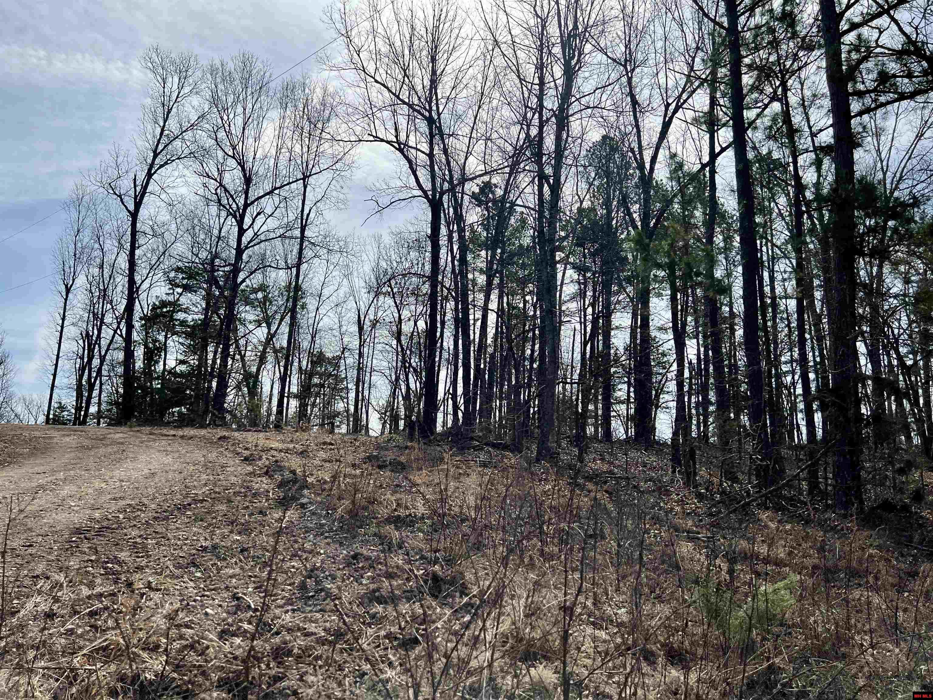 Tract 4 Ramblewood Trail