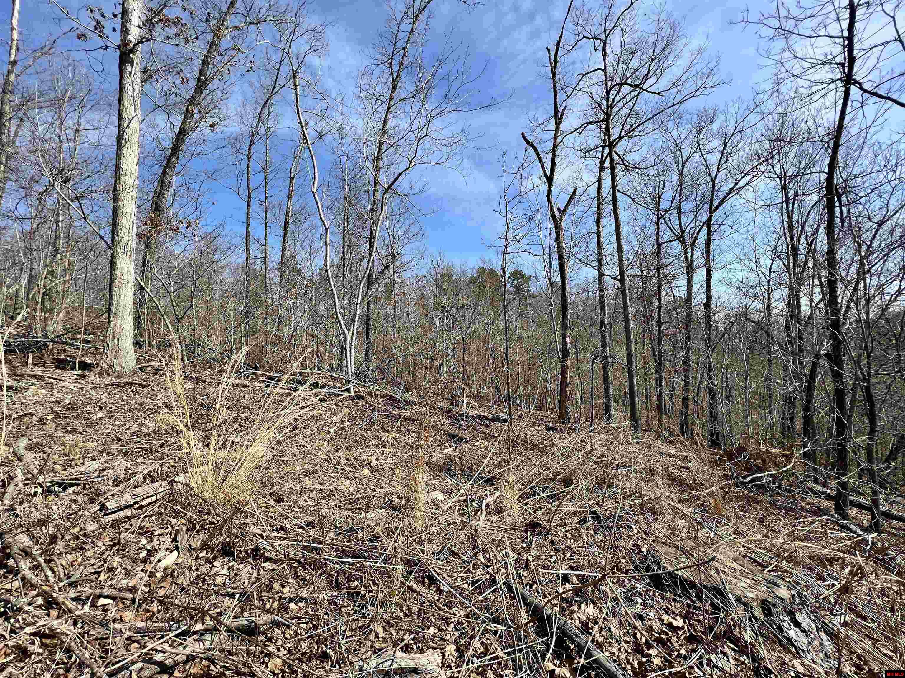 Tract 4 Ramblewood Trail