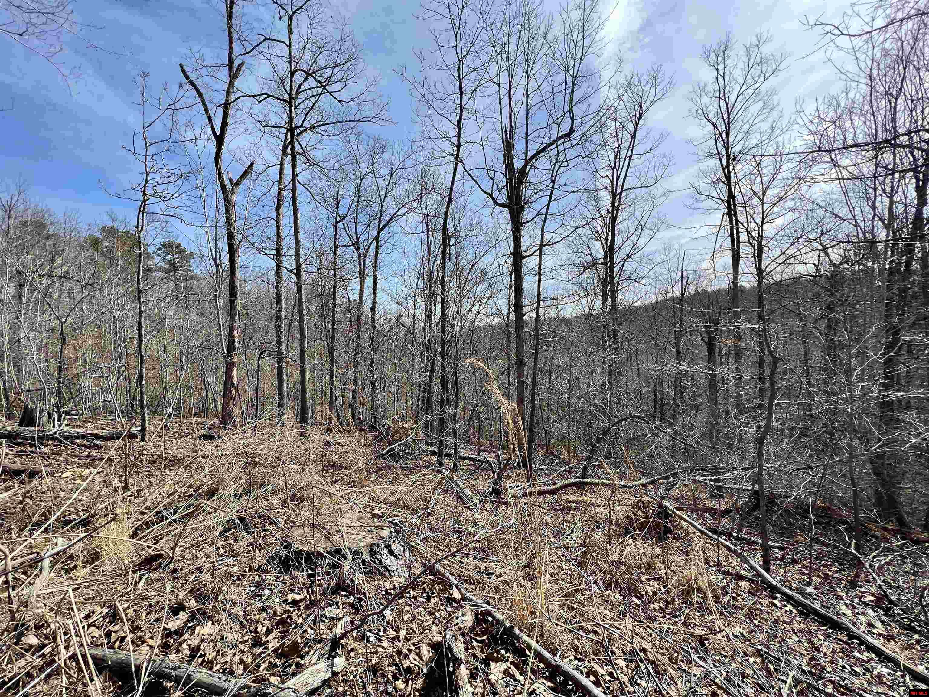 Tract 4 Ramblewood Trail