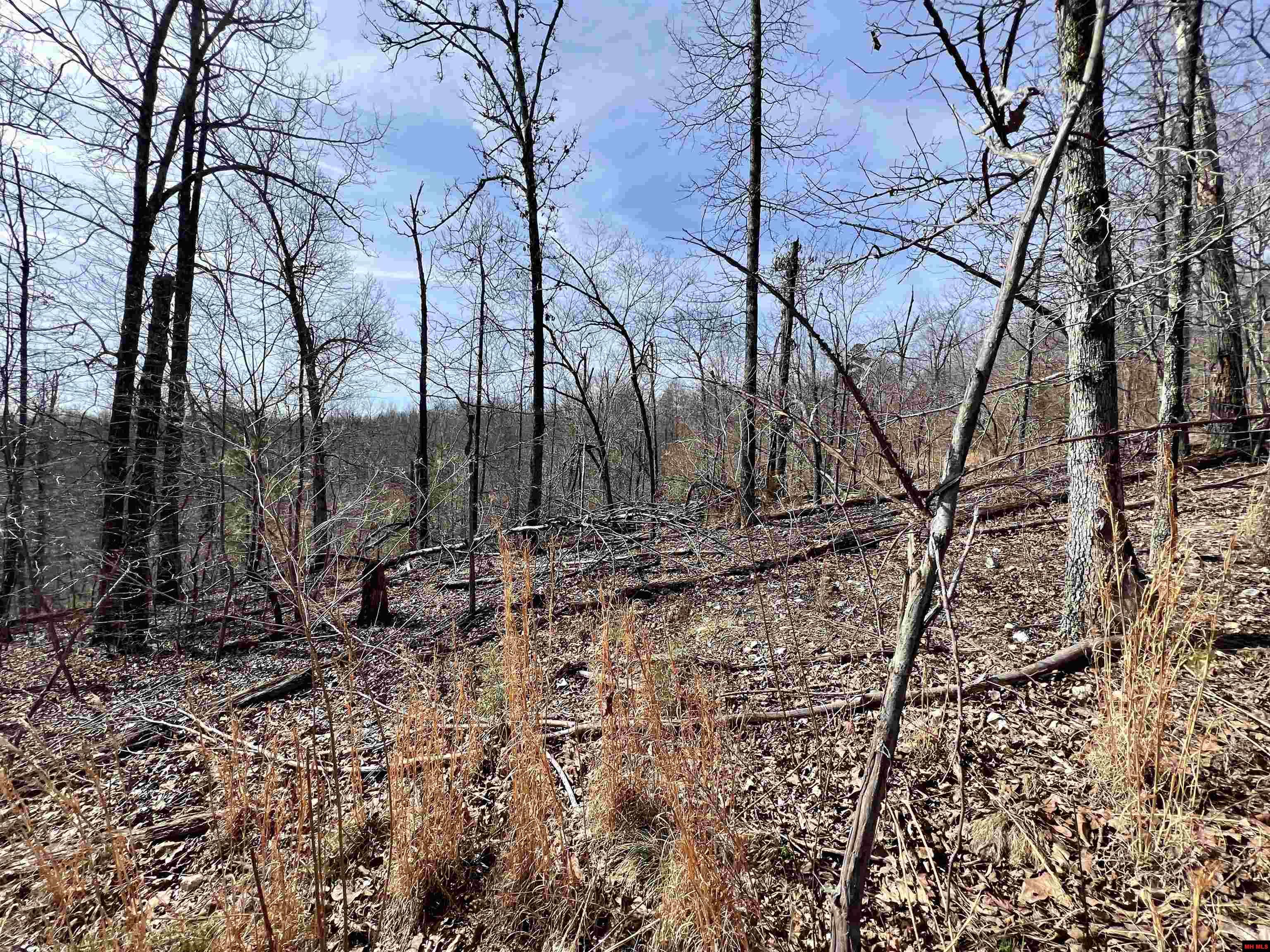 Tract 4 Ramblewood Trail