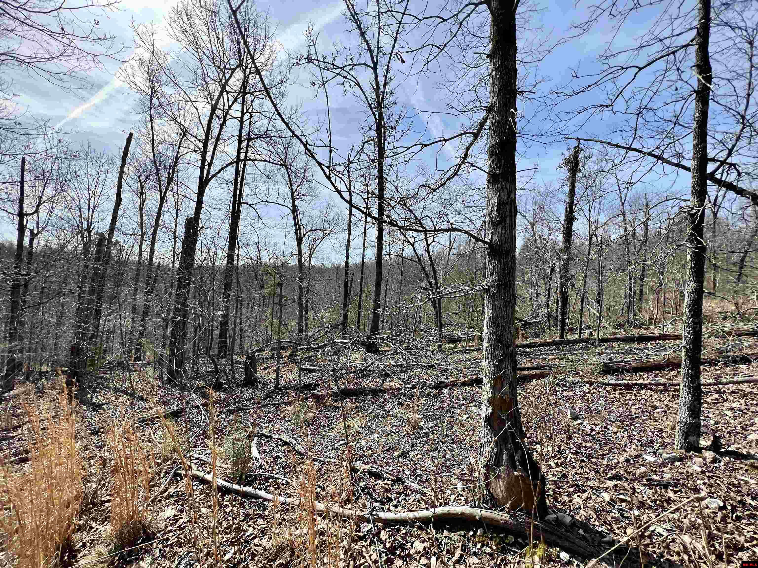 Tract 4 Ramblewood Trail