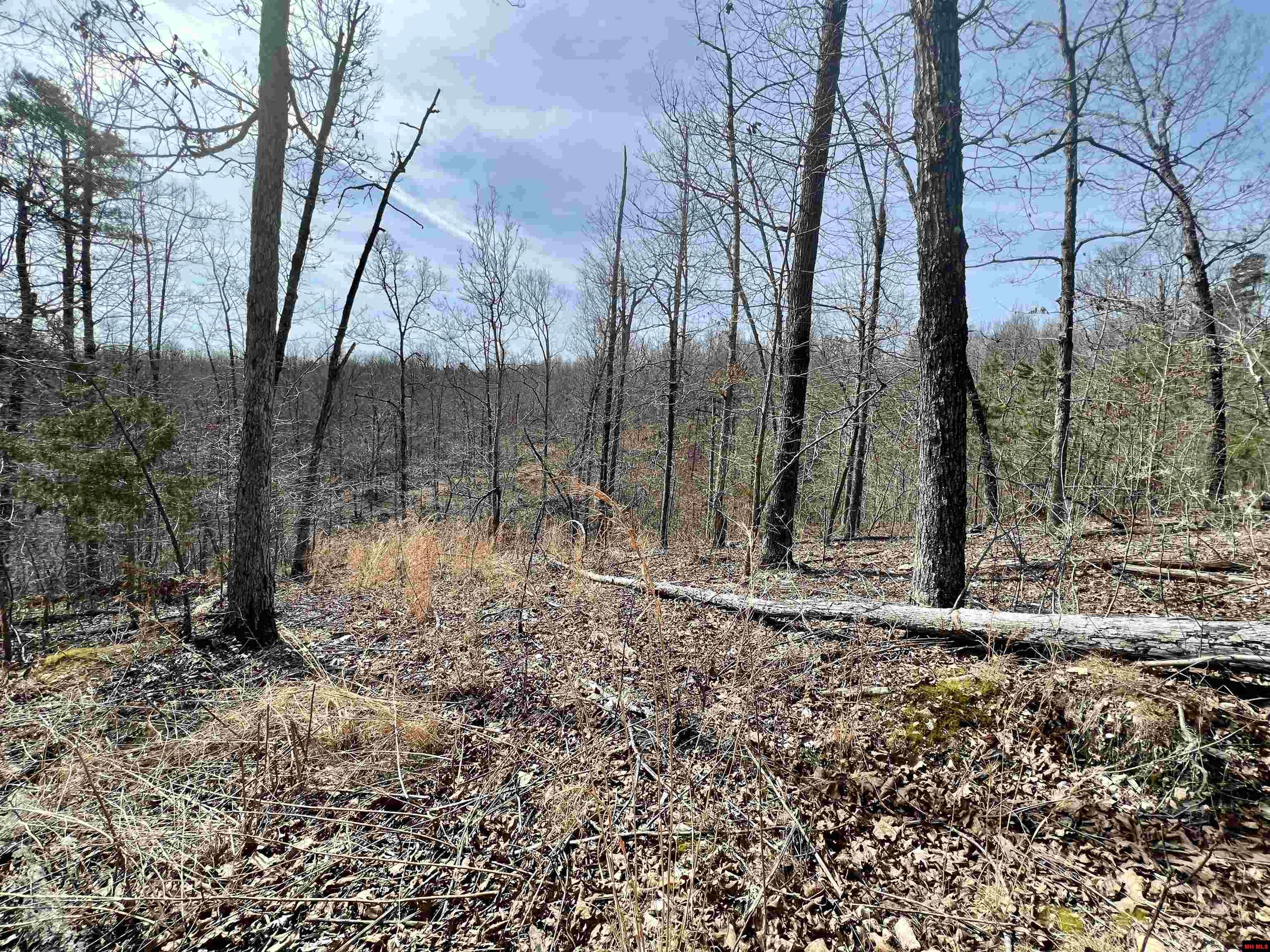 Tract 4 Ramblewood Trail