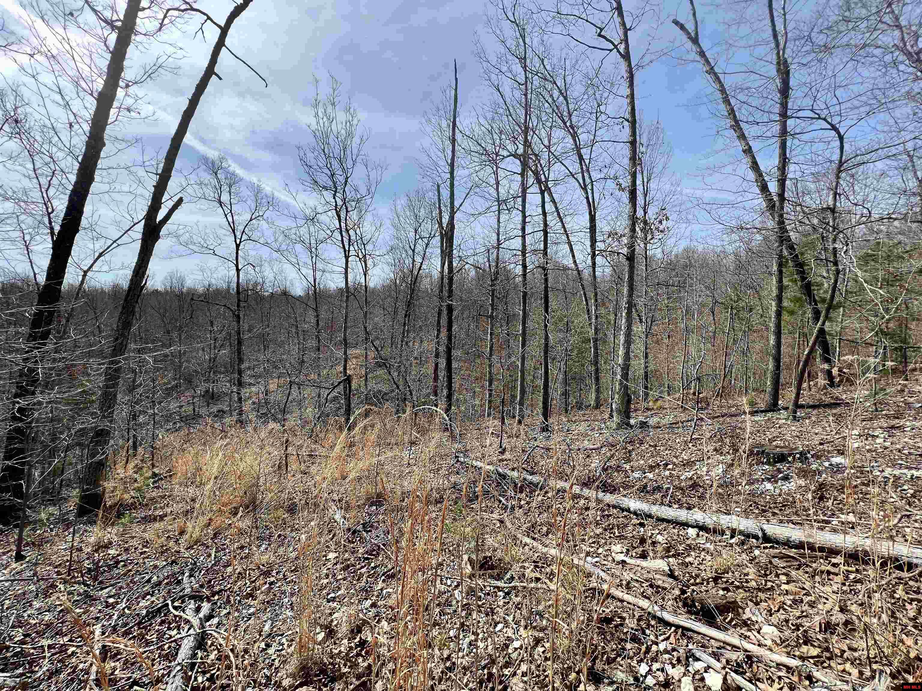 Tract 4 Ramblewood Trail