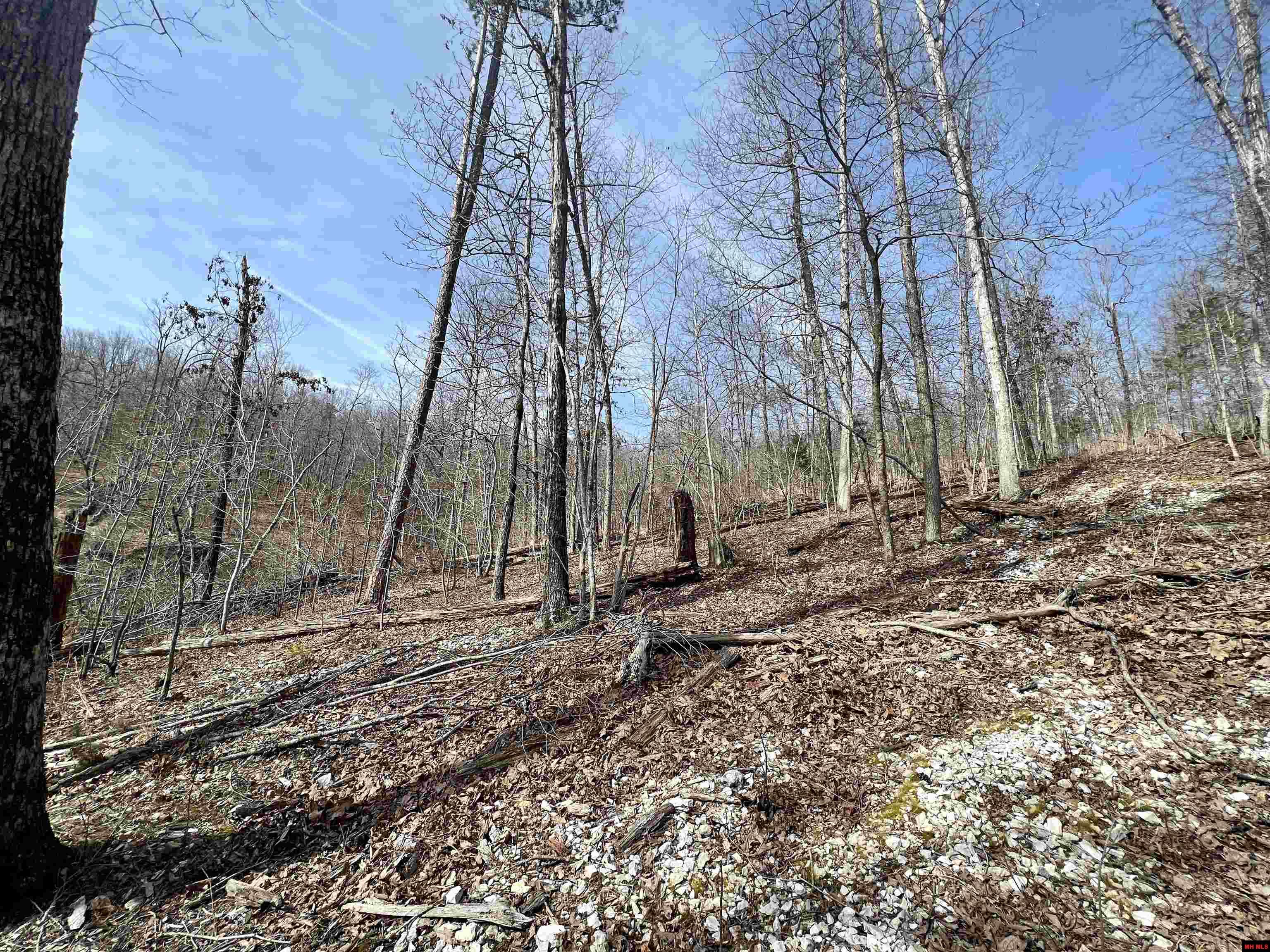 Tract 4 Ramblewood Trail