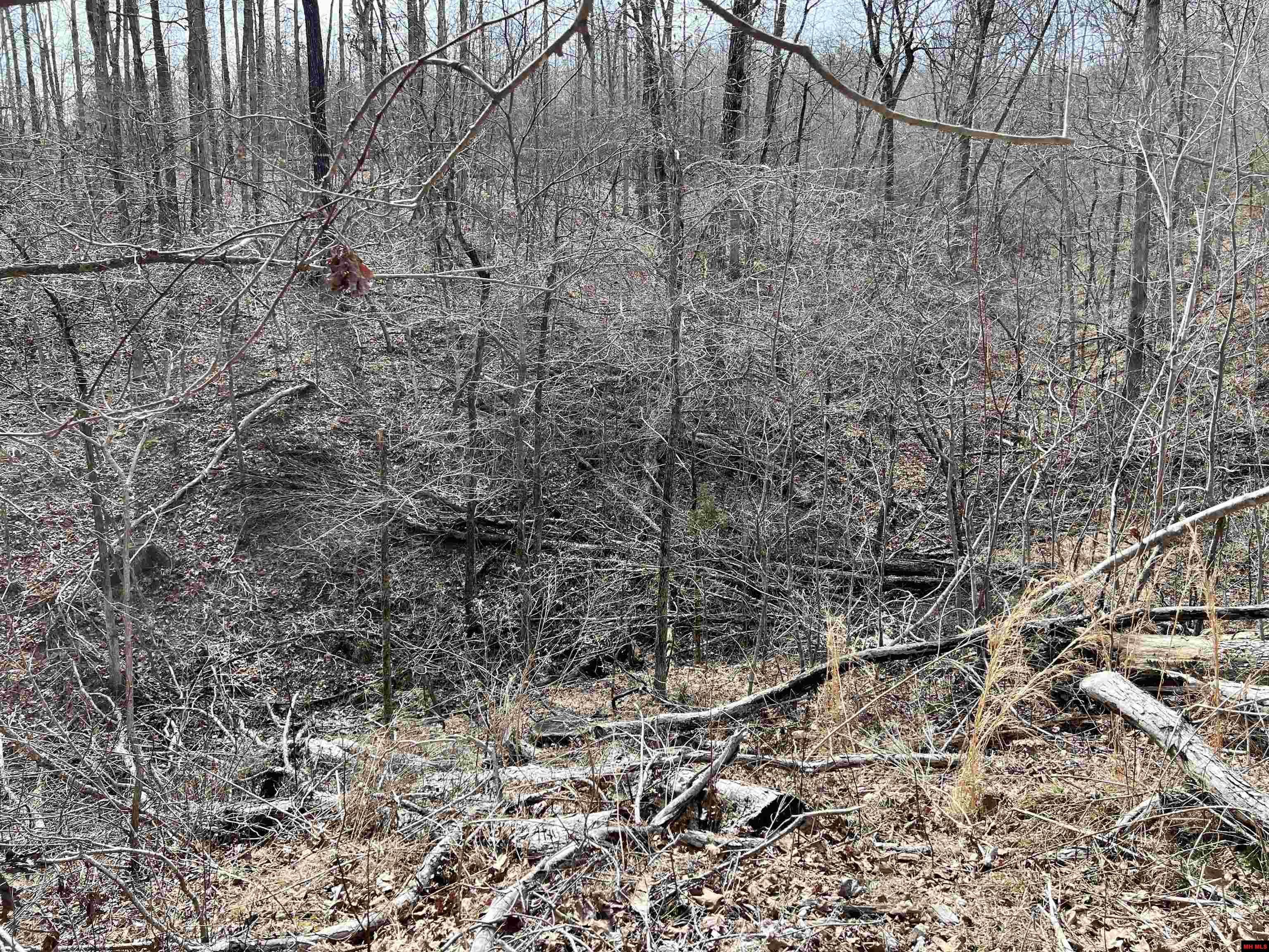 Tract 4 Ramblewood Trail