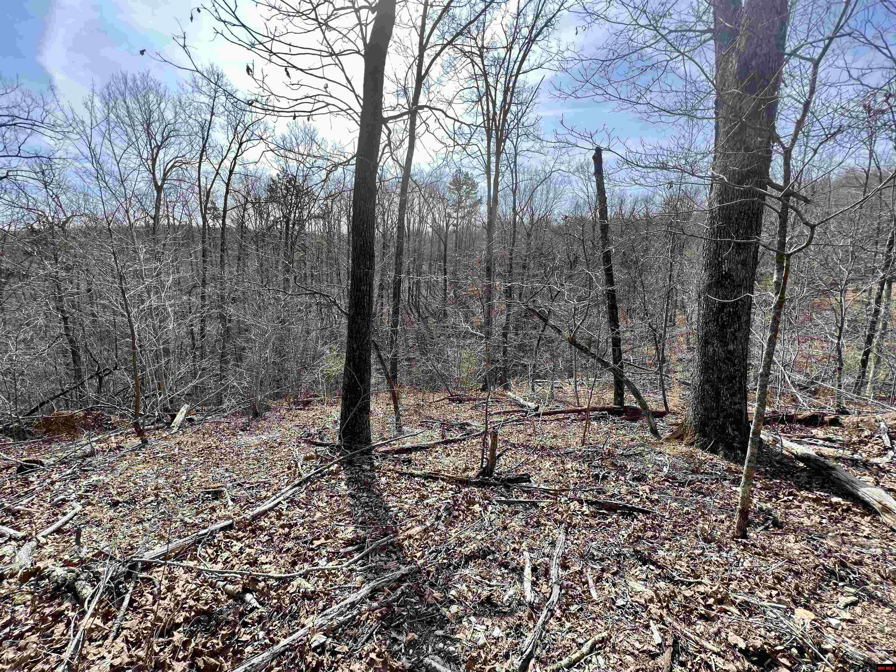 Tract 4 Ramblewood Trail