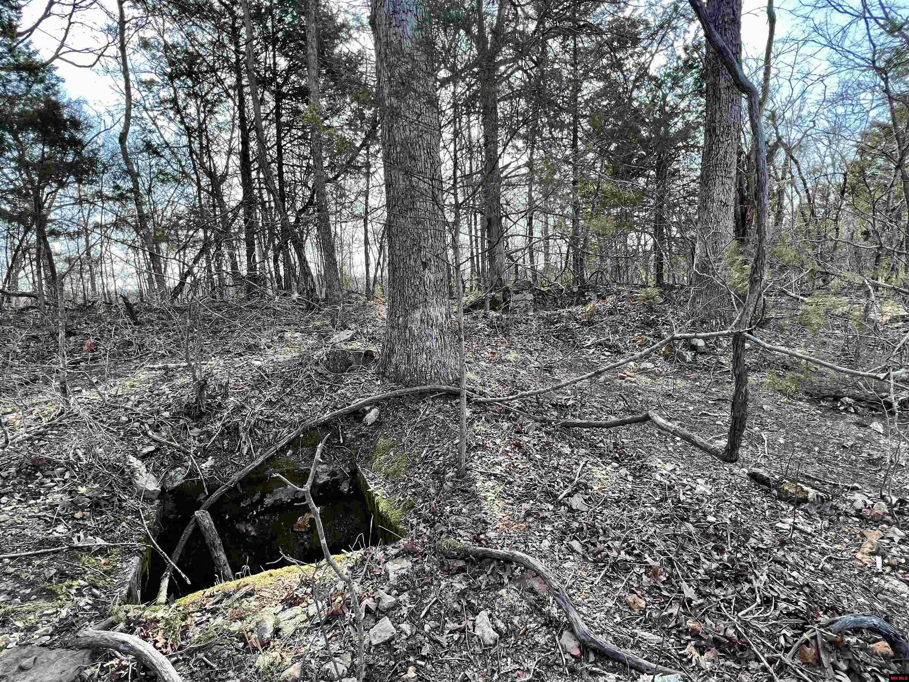 Tract 5 Ramblewood Trail