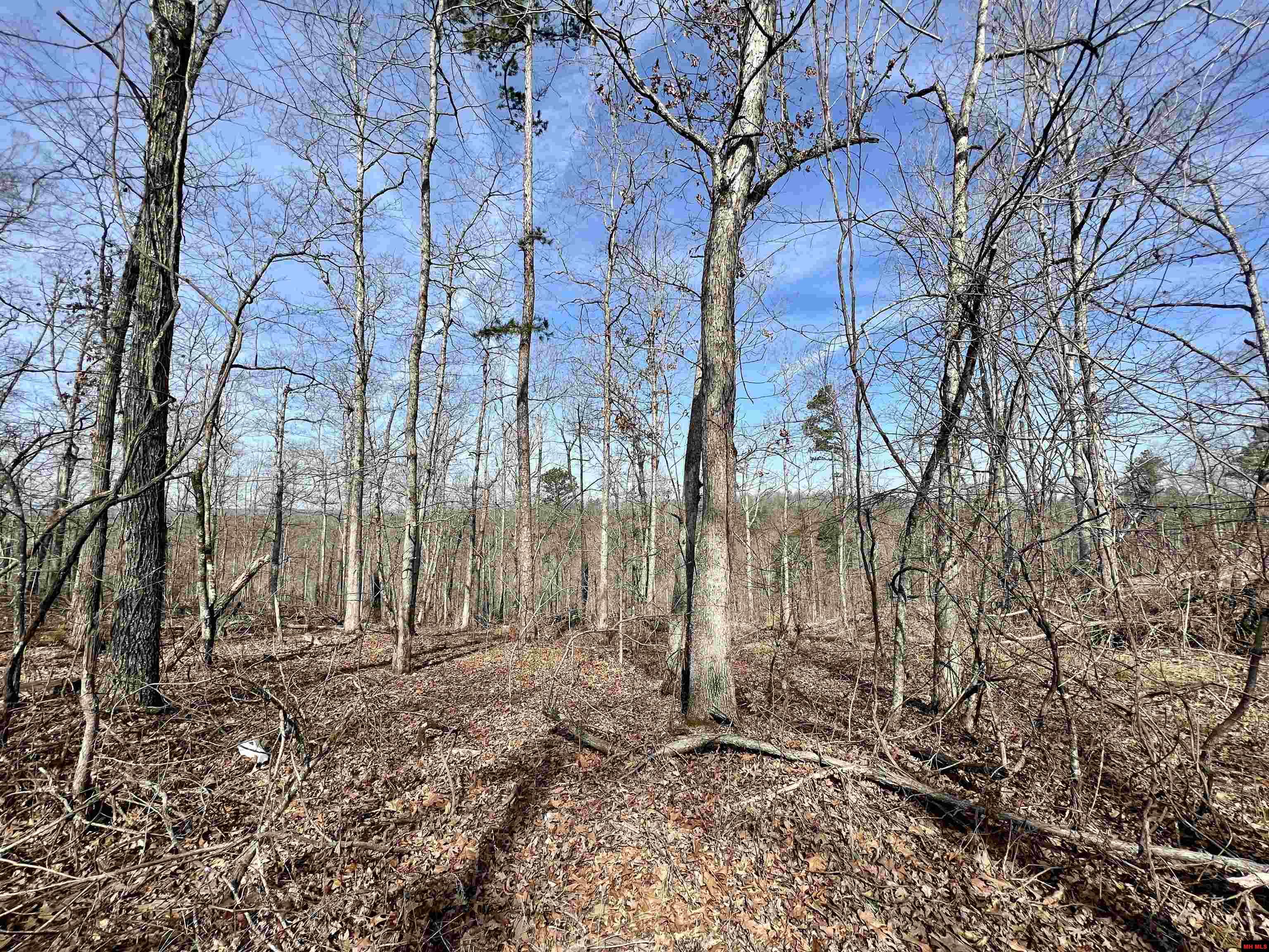 Tract 5 Ramblewood Trail