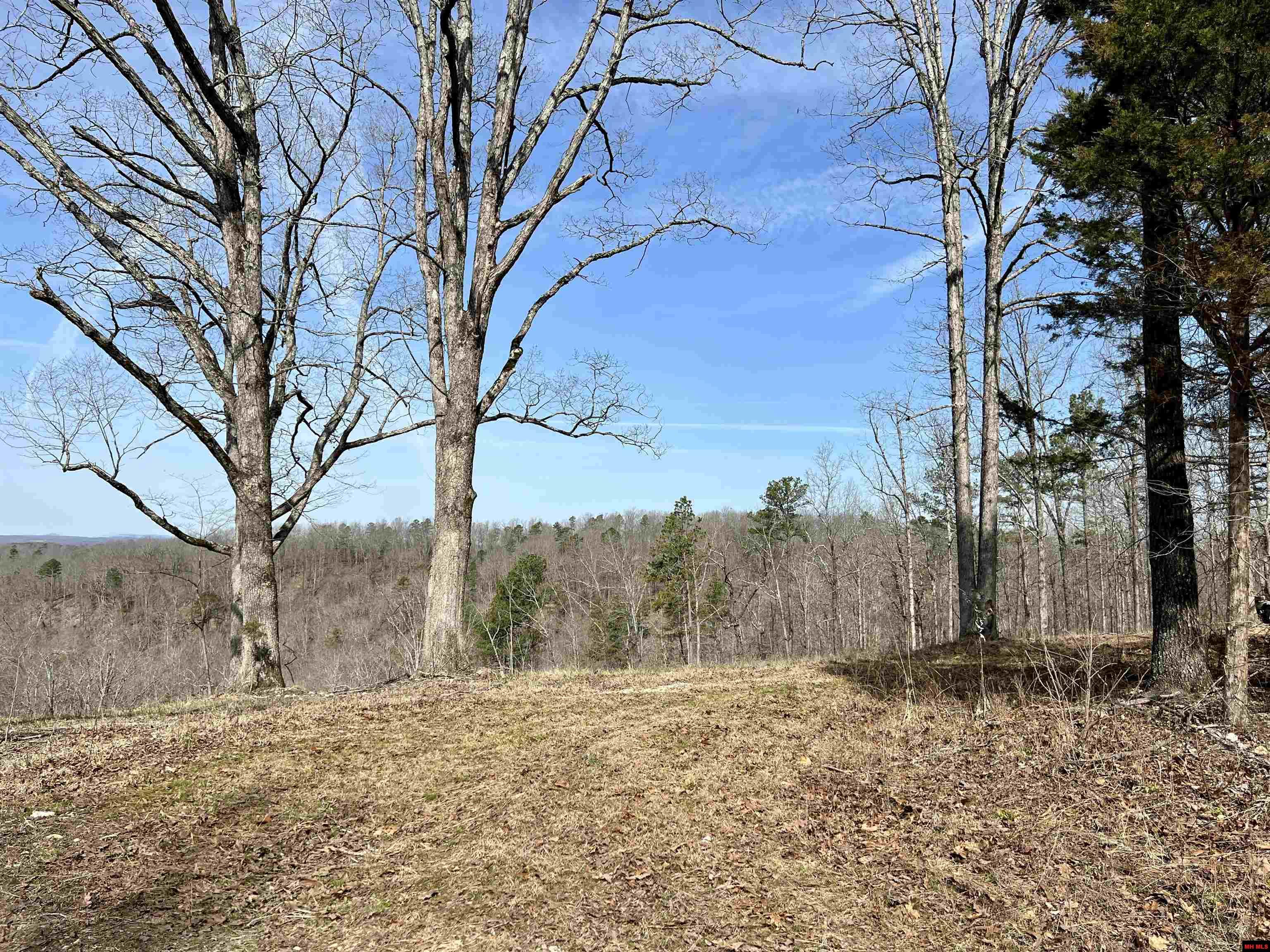 Tract 5 Ramblewood Trail