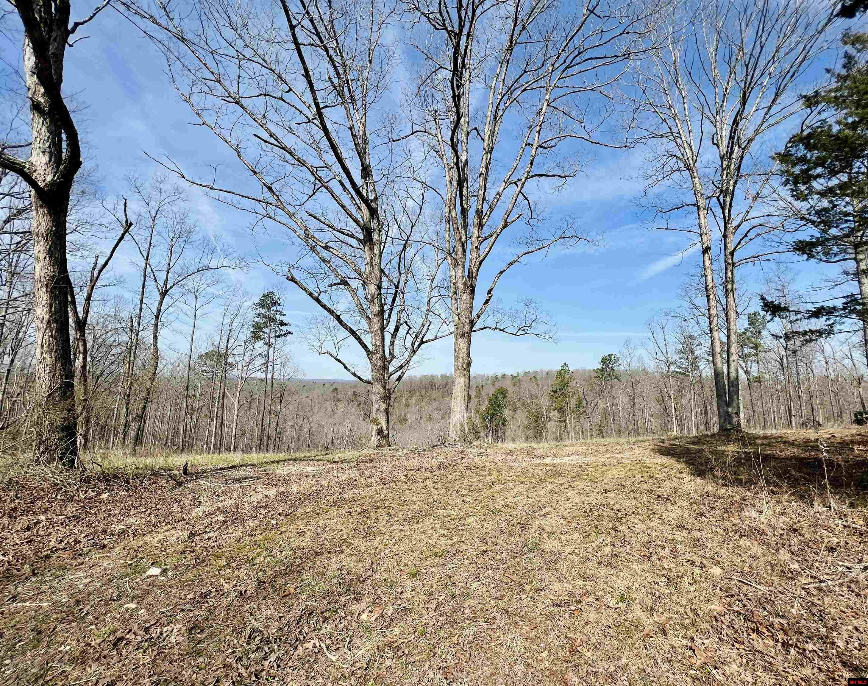 Tract 5 Ramblewood Trail