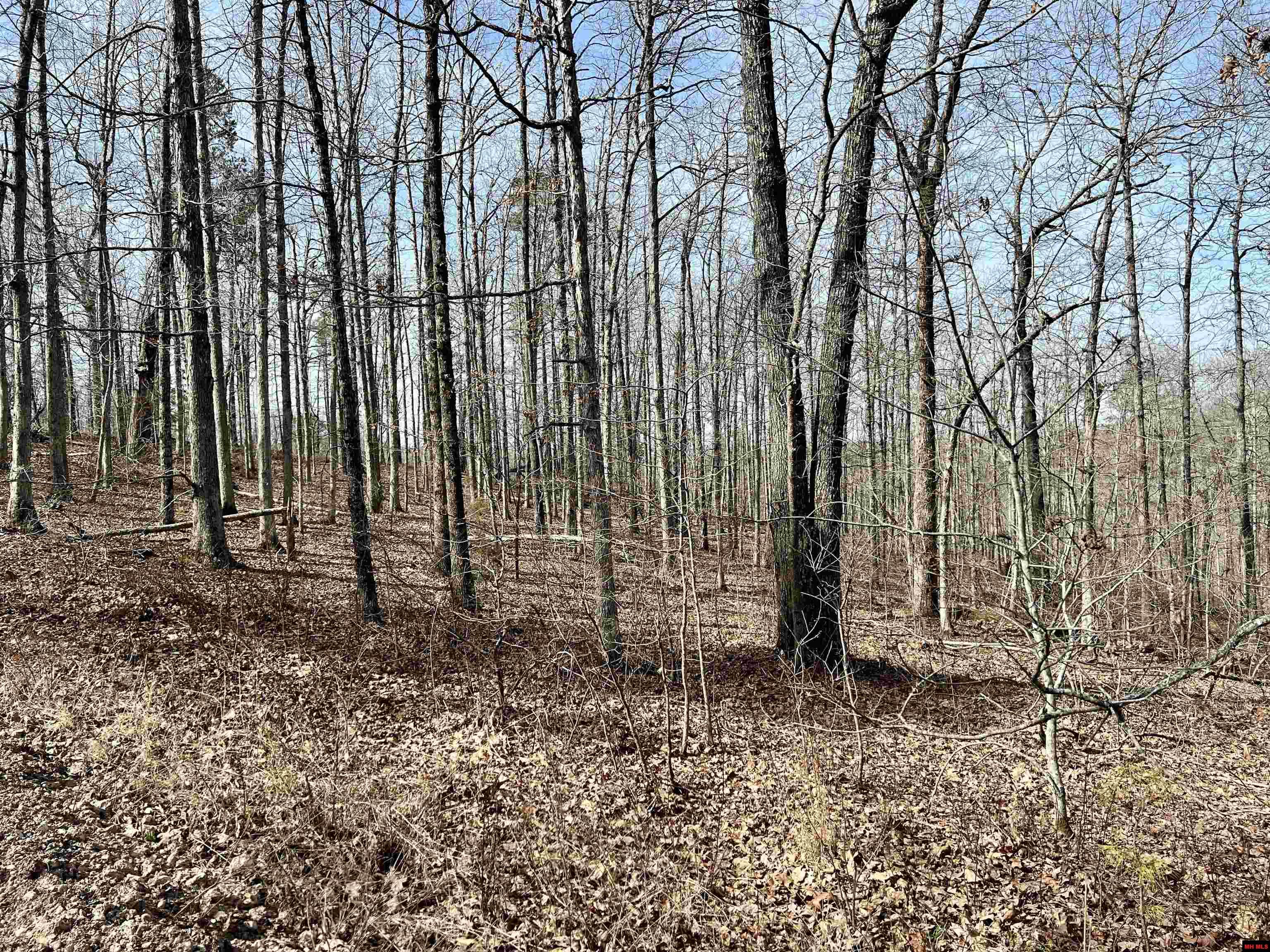 Tract 5 Ramblewood Trail