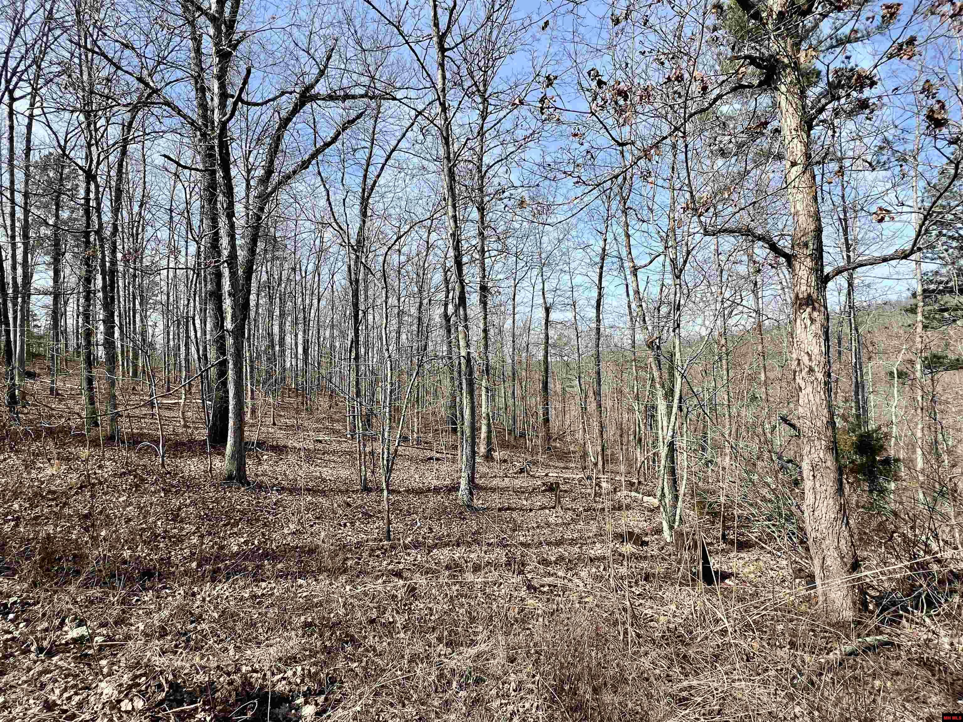 Tract 5 Ramblewood Trail