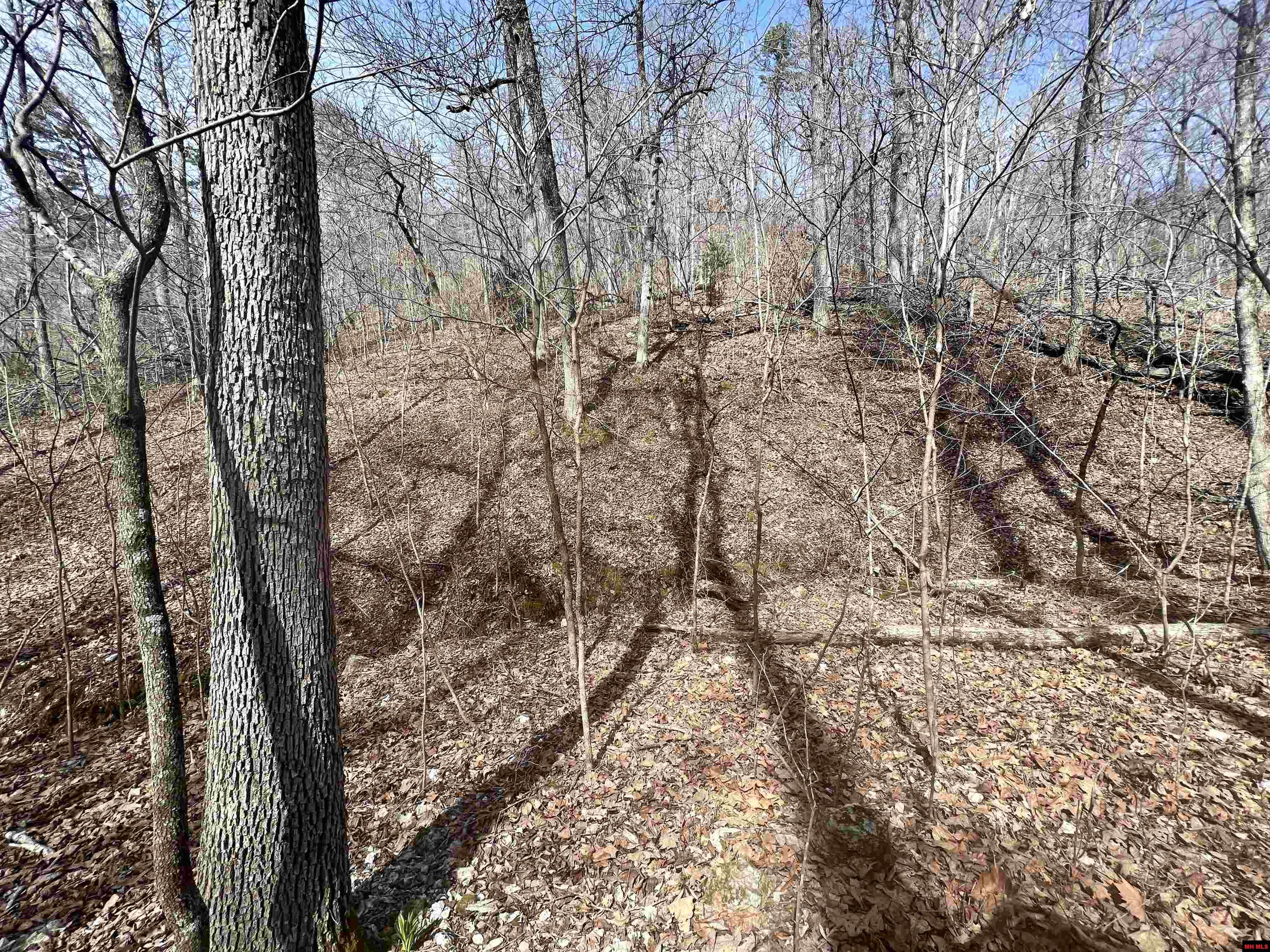 Tract 5 Ramblewood Trail