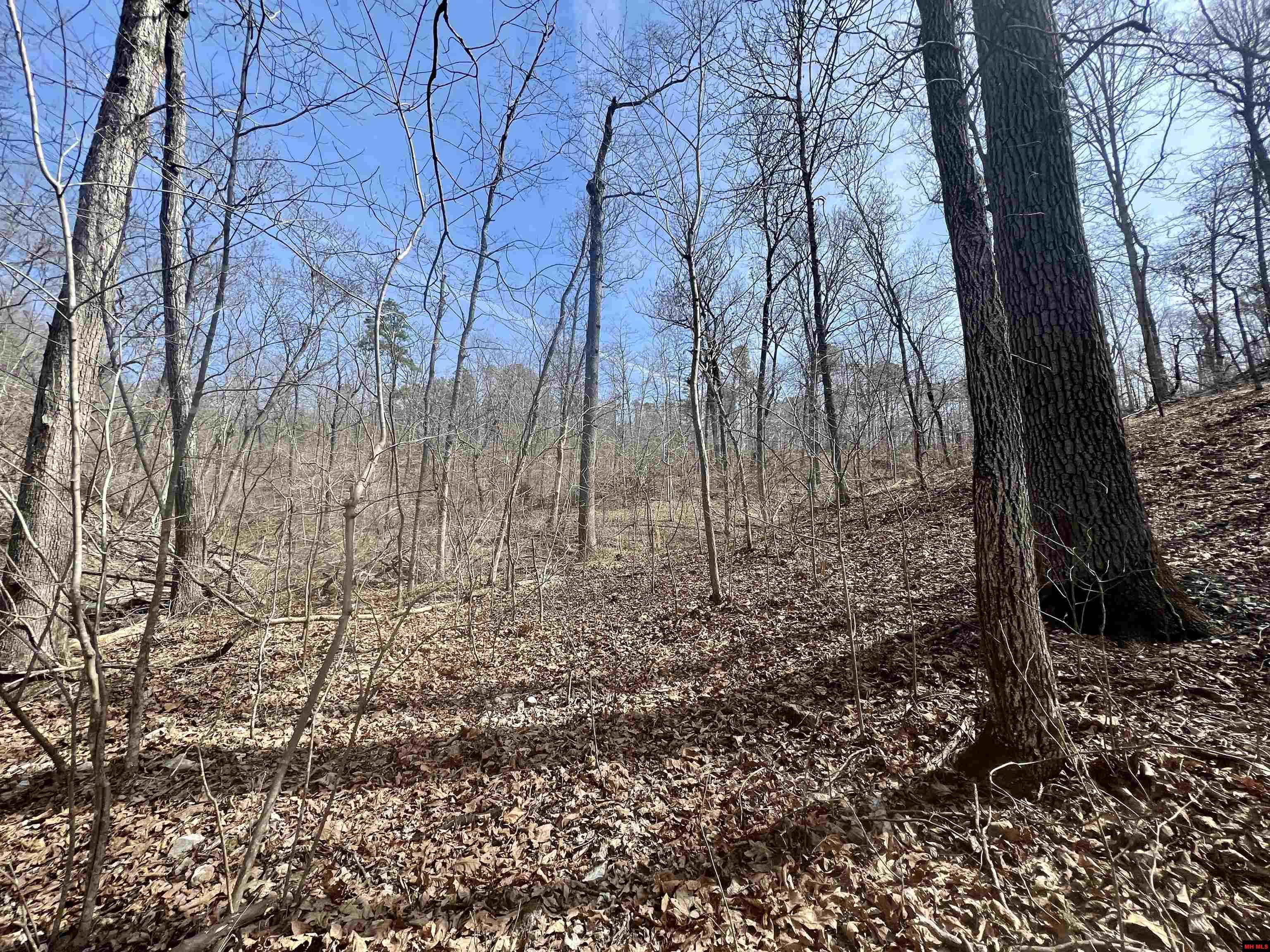 Tract 5 Ramblewood Trail