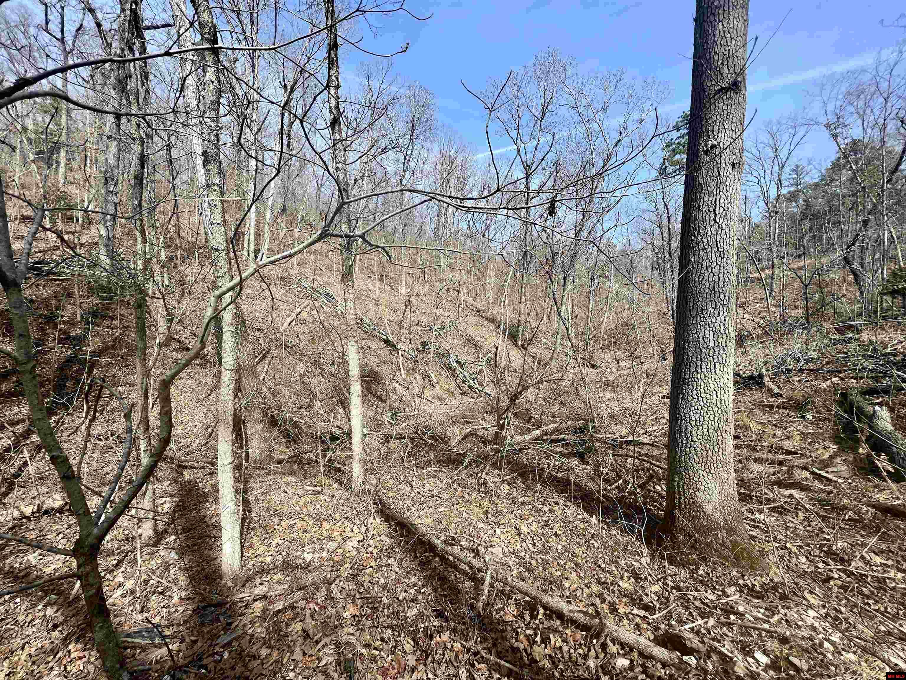 Tract 5 Ramblewood Trail