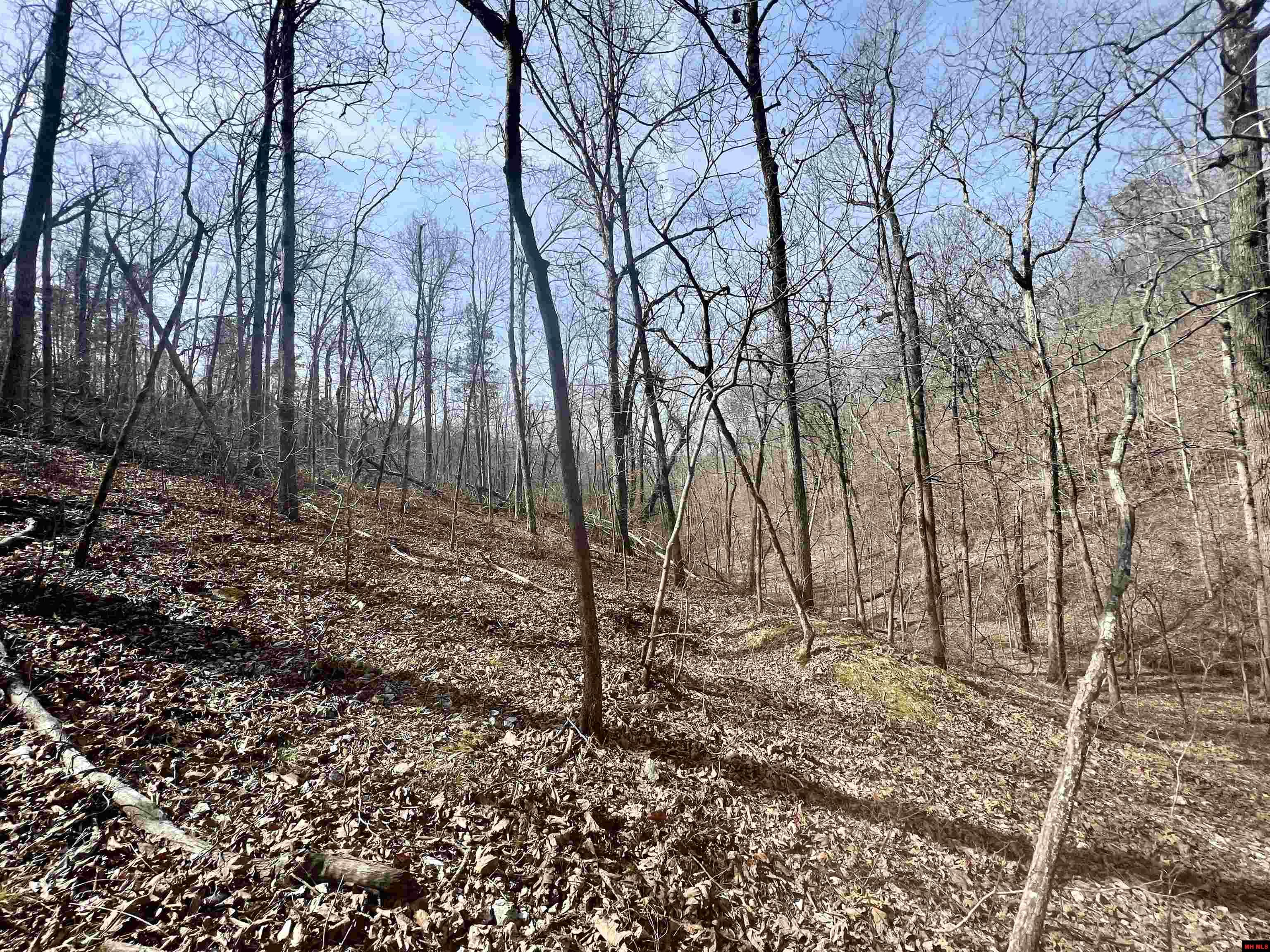 Tract 5 Ramblewood Trail