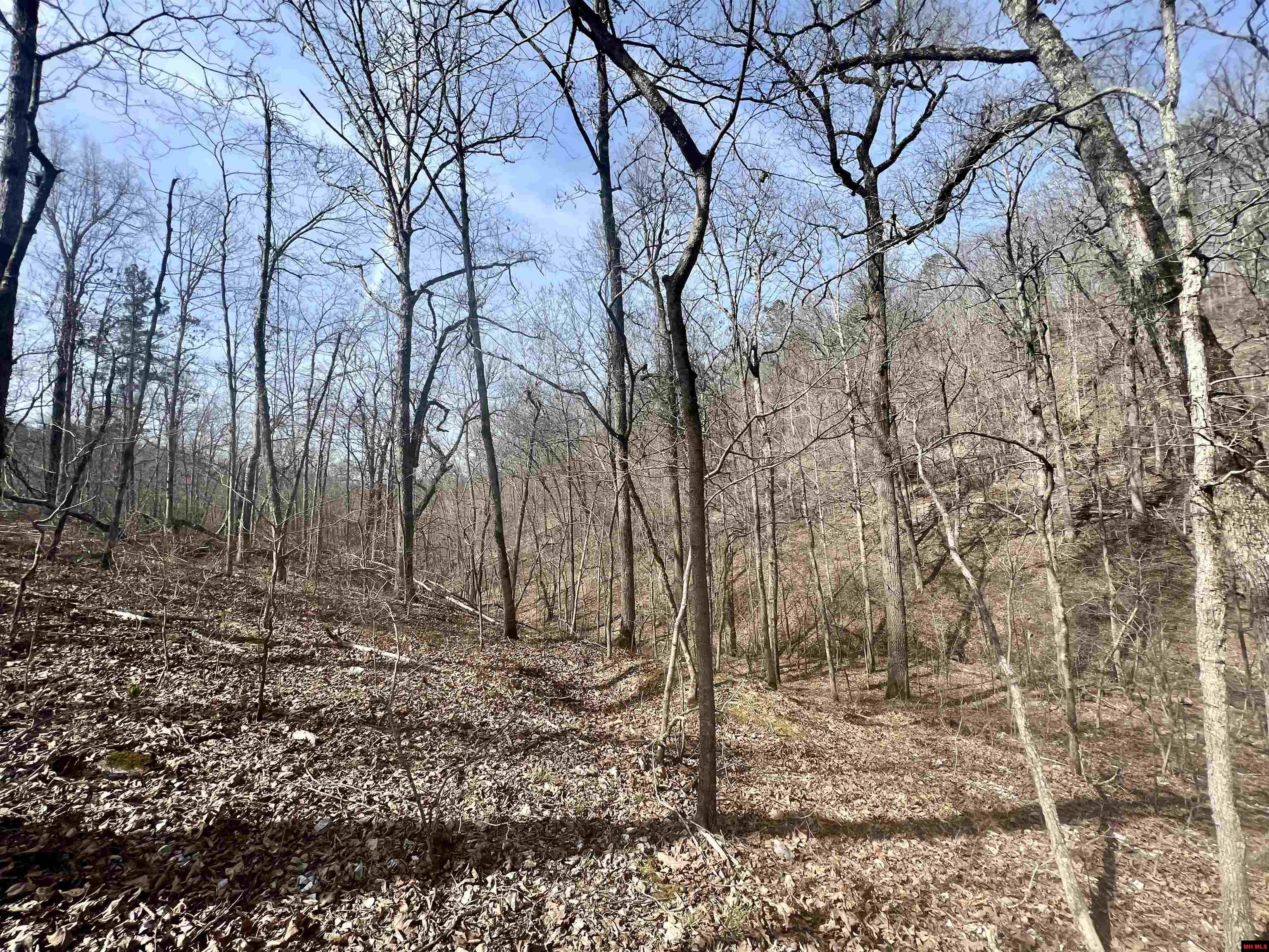 Tract 5 Ramblewood Trail