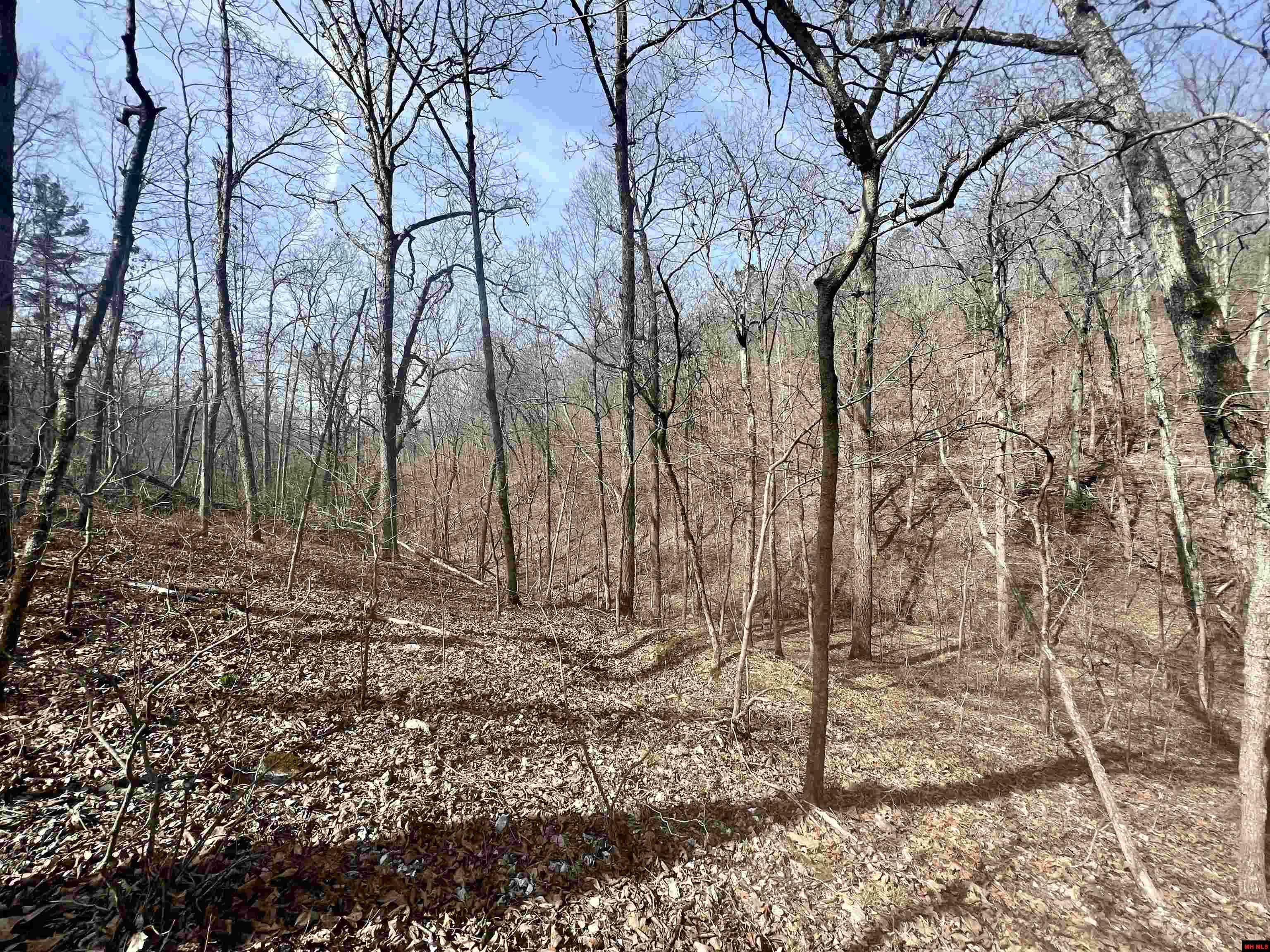 Tract 5 Ramblewood Trail