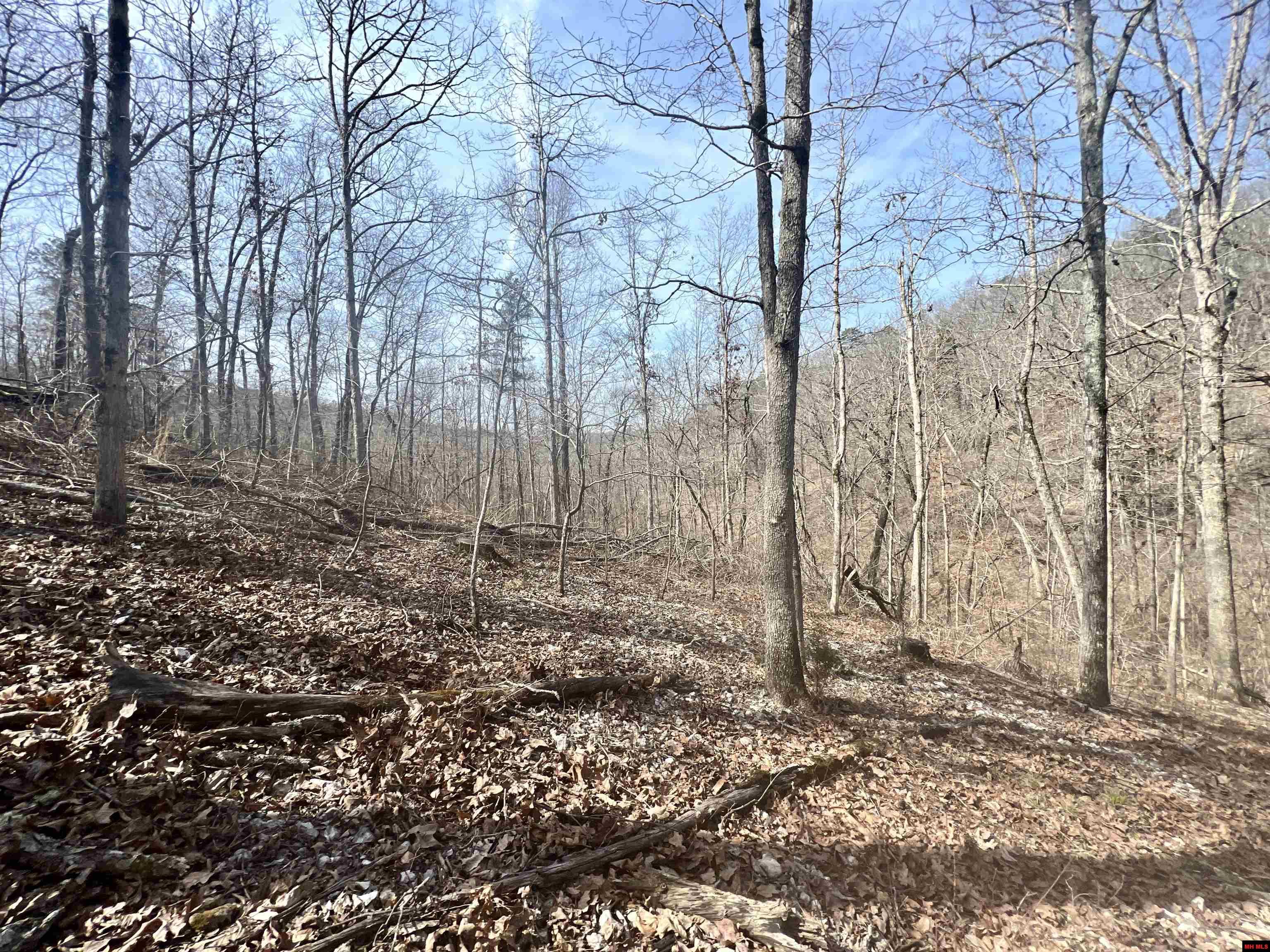 Tract 5 Ramblewood Trail