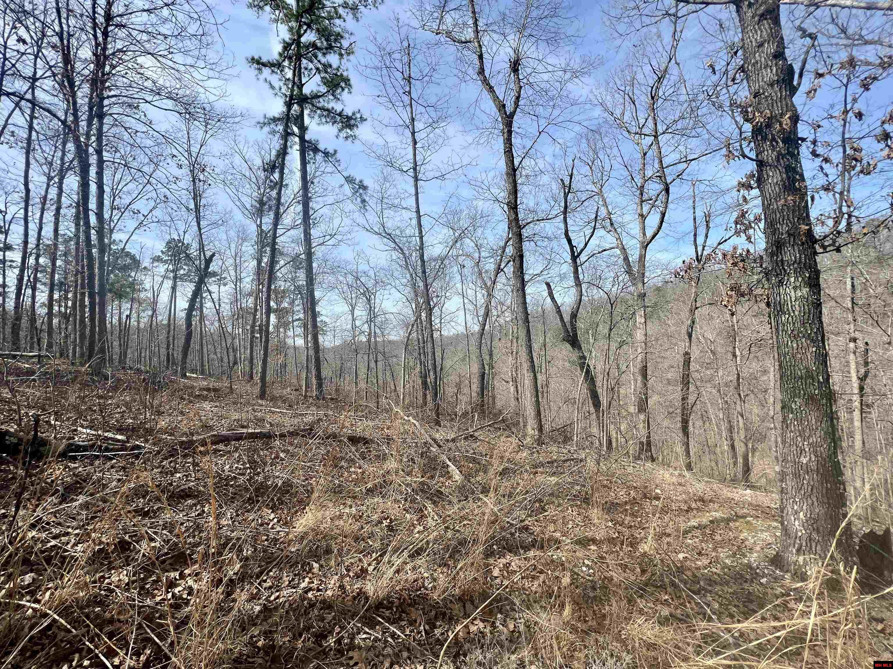 Tract 5 Ramblewood Trail