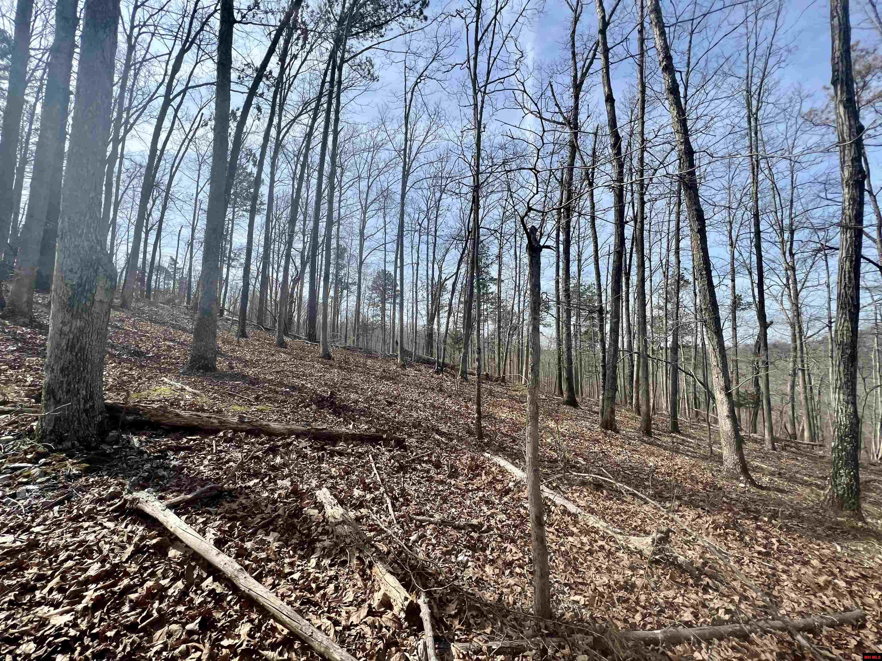 Tract 5 Ramblewood Trail