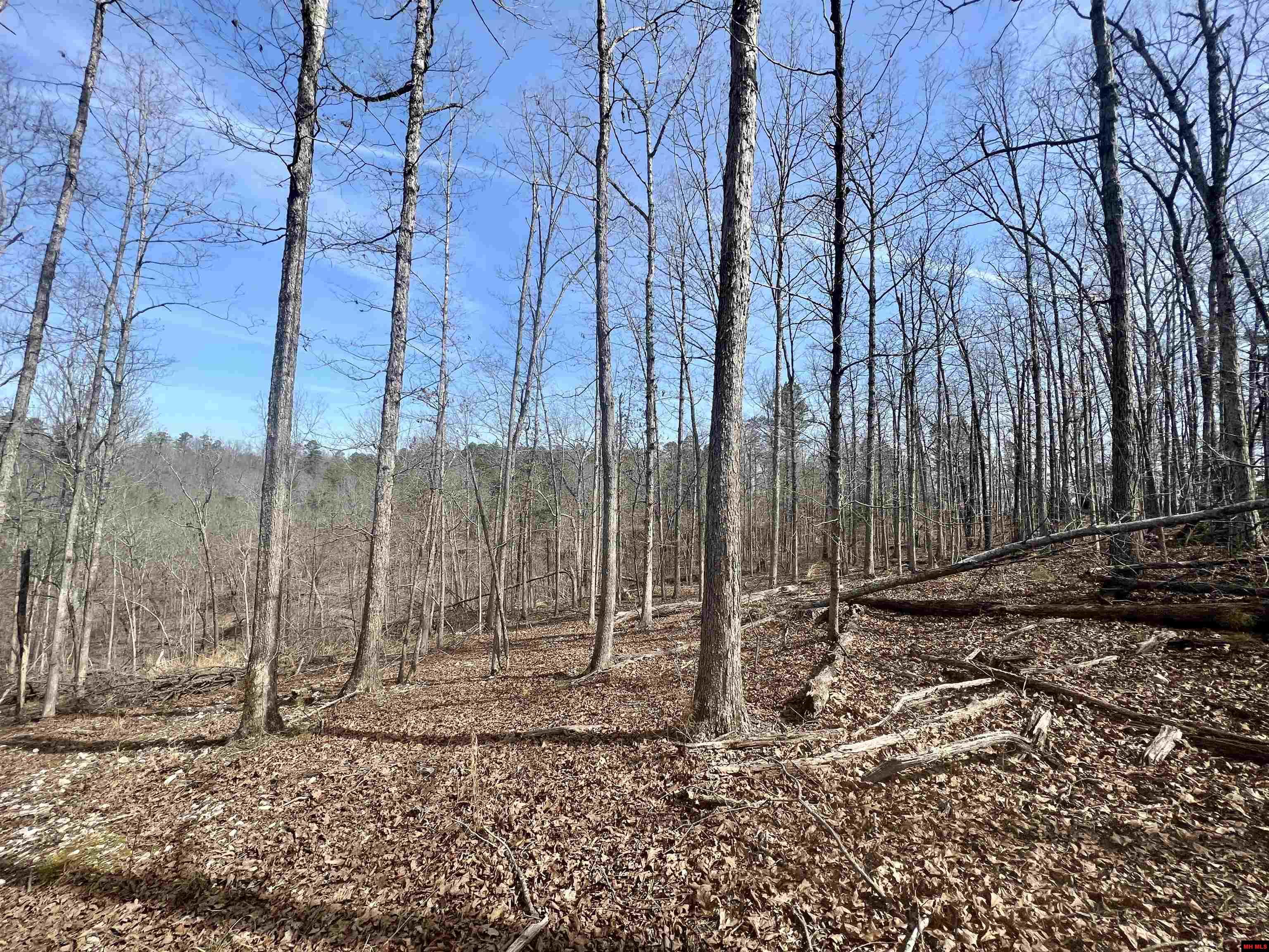 Tract 5 Ramblewood Trail