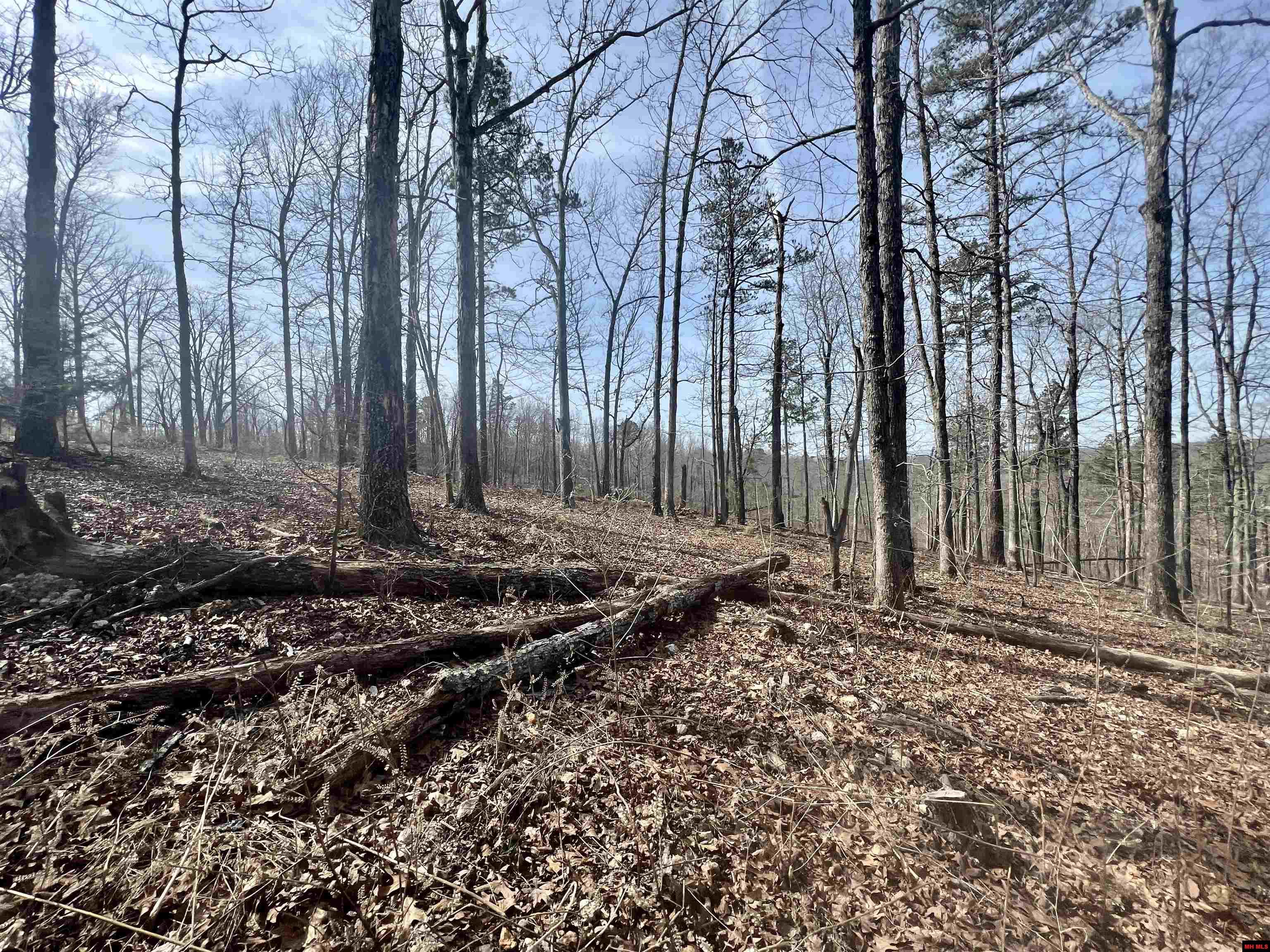 Tract 5 Ramblewood Trail