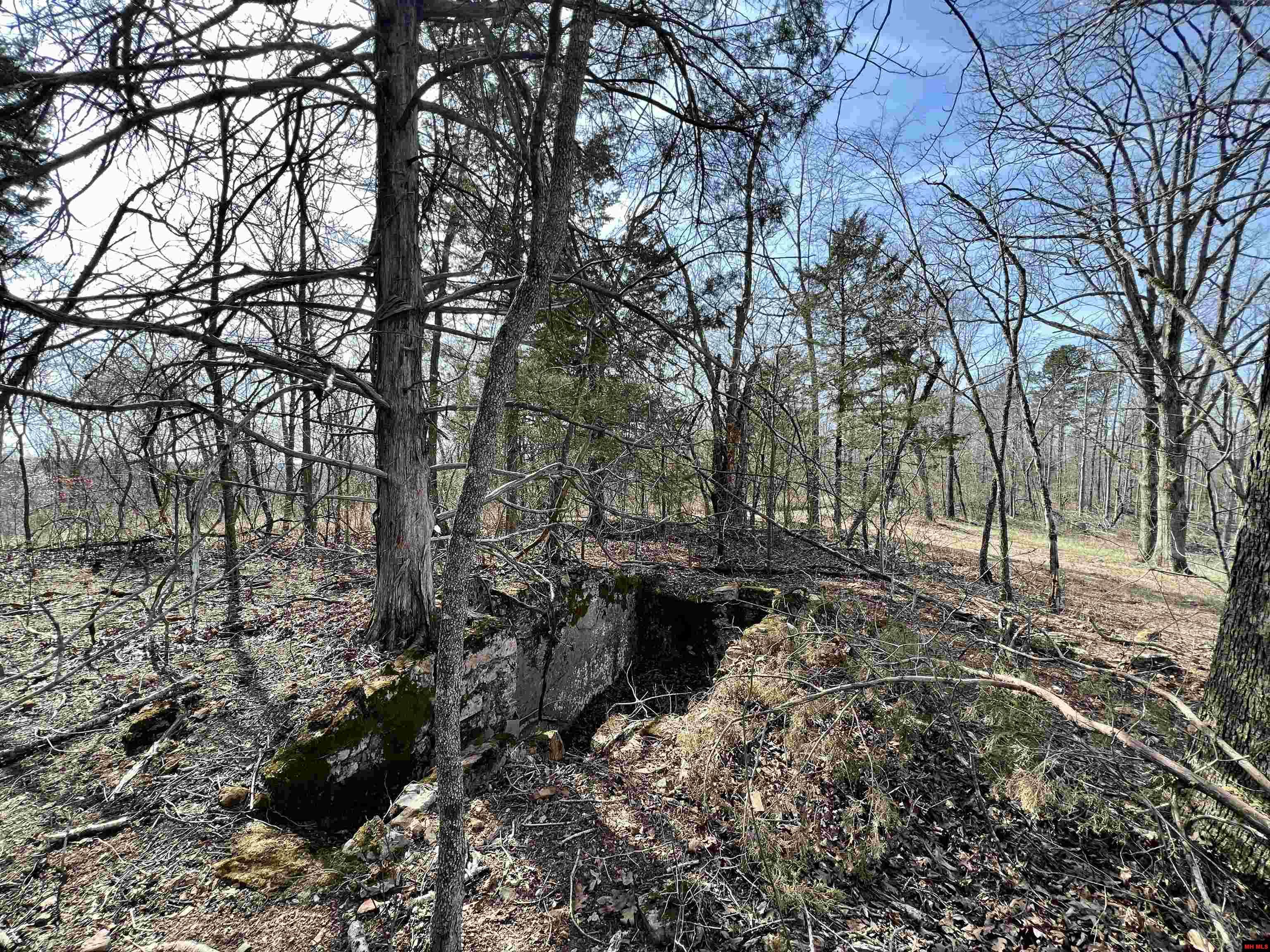 Tract 5 Ramblewood Trail