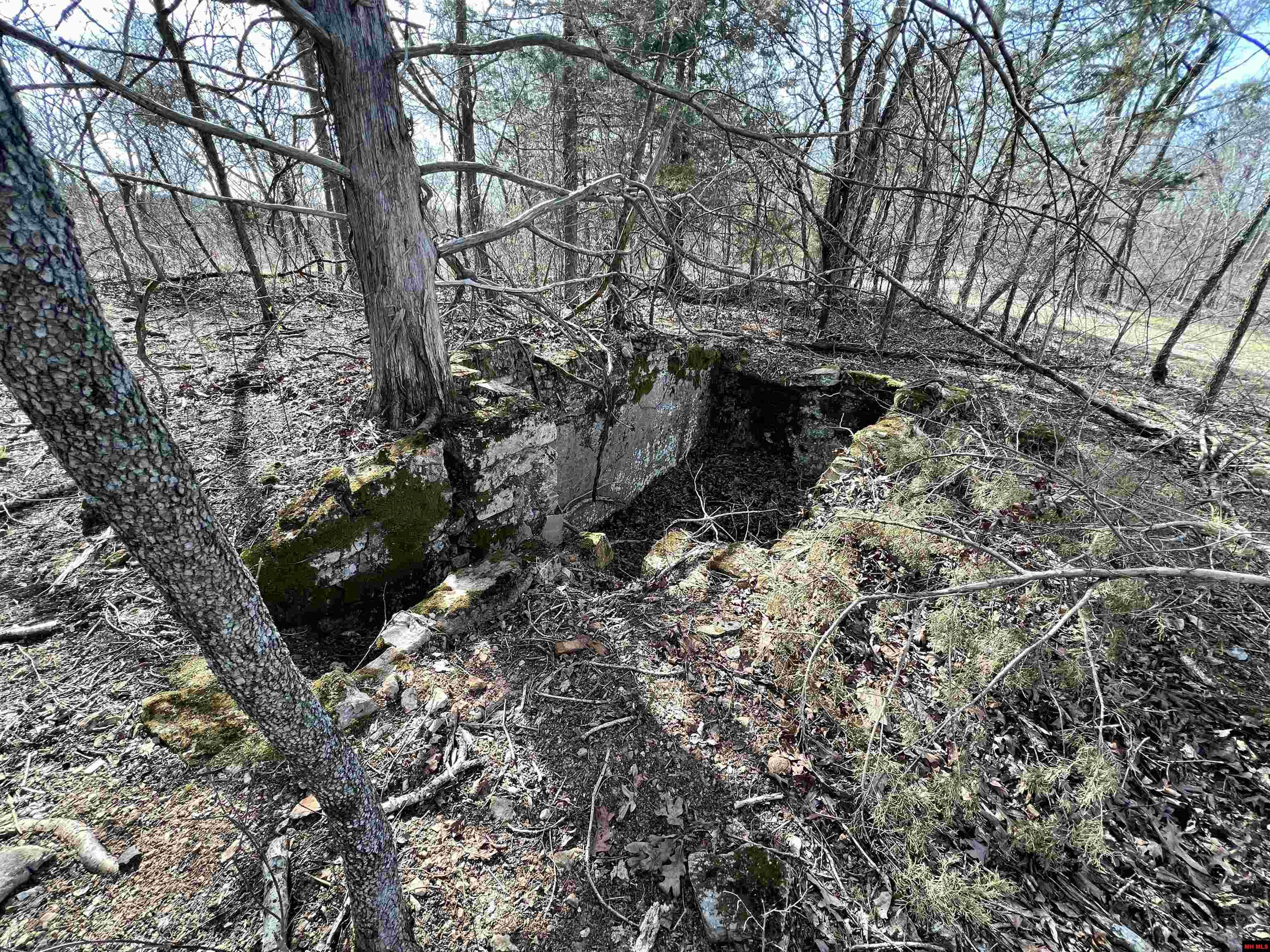 Tract 5 Ramblewood Trail