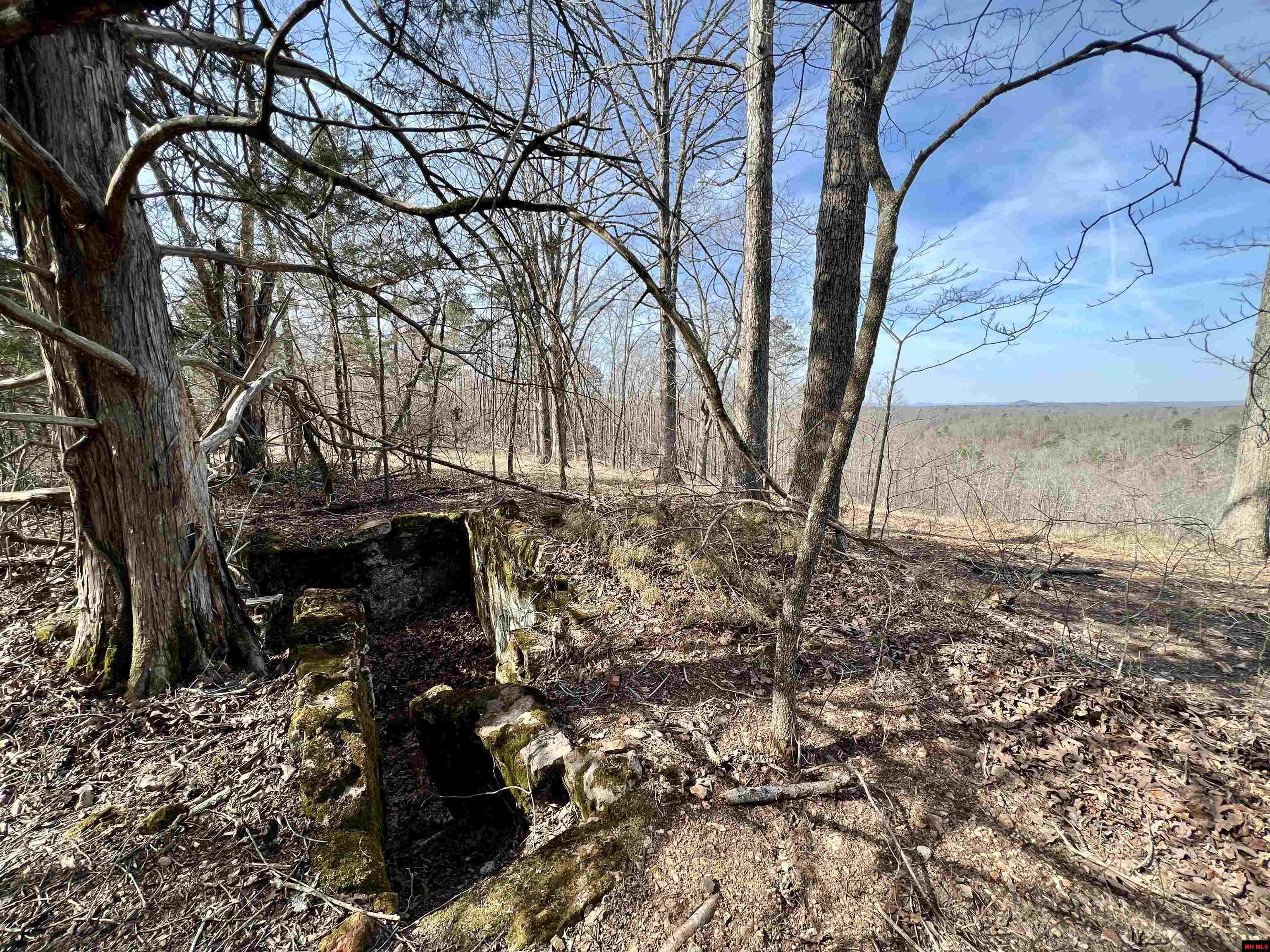 Tract 5 Ramblewood Trail