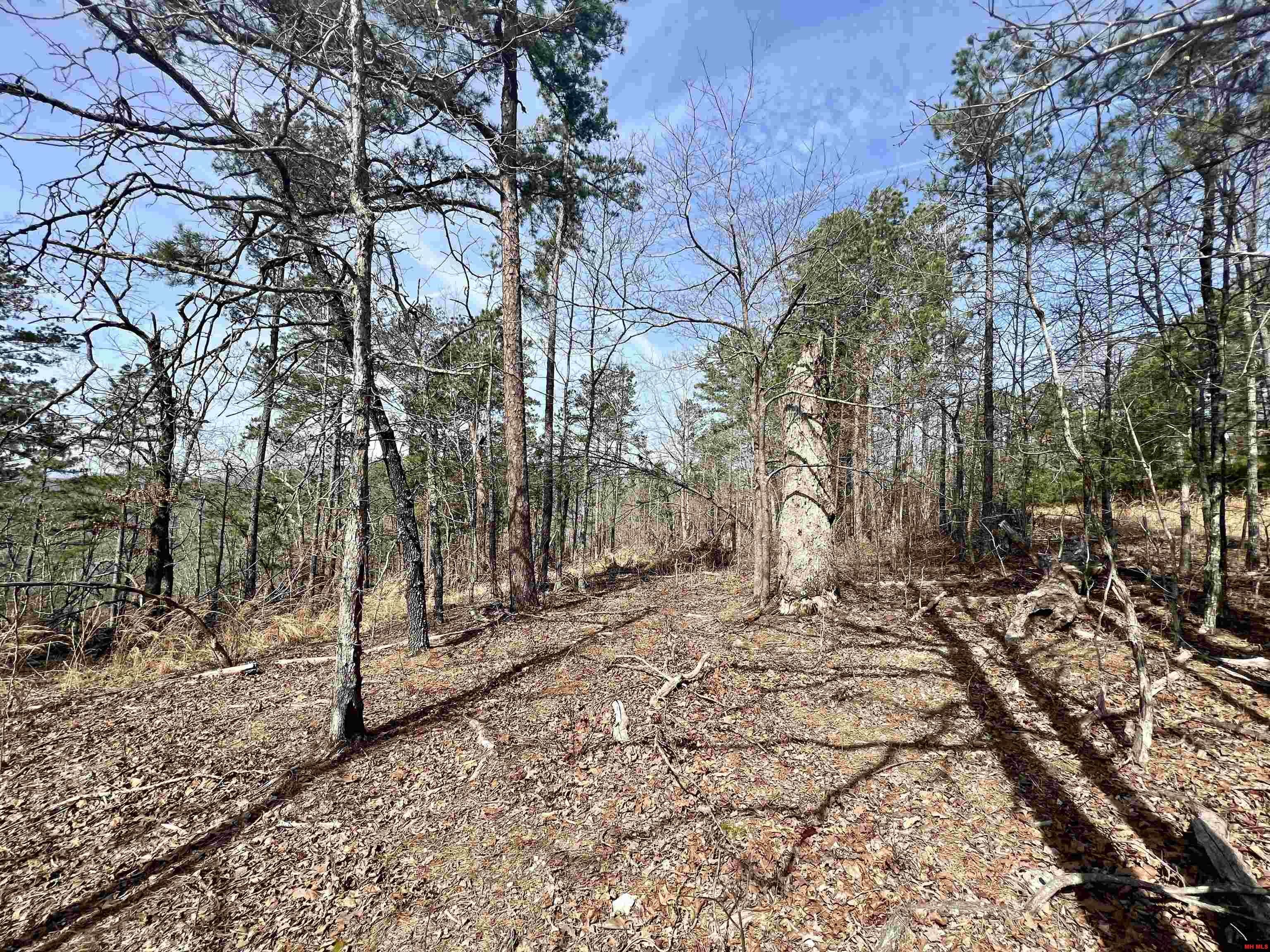 Tract 6 Ramblewood Trail