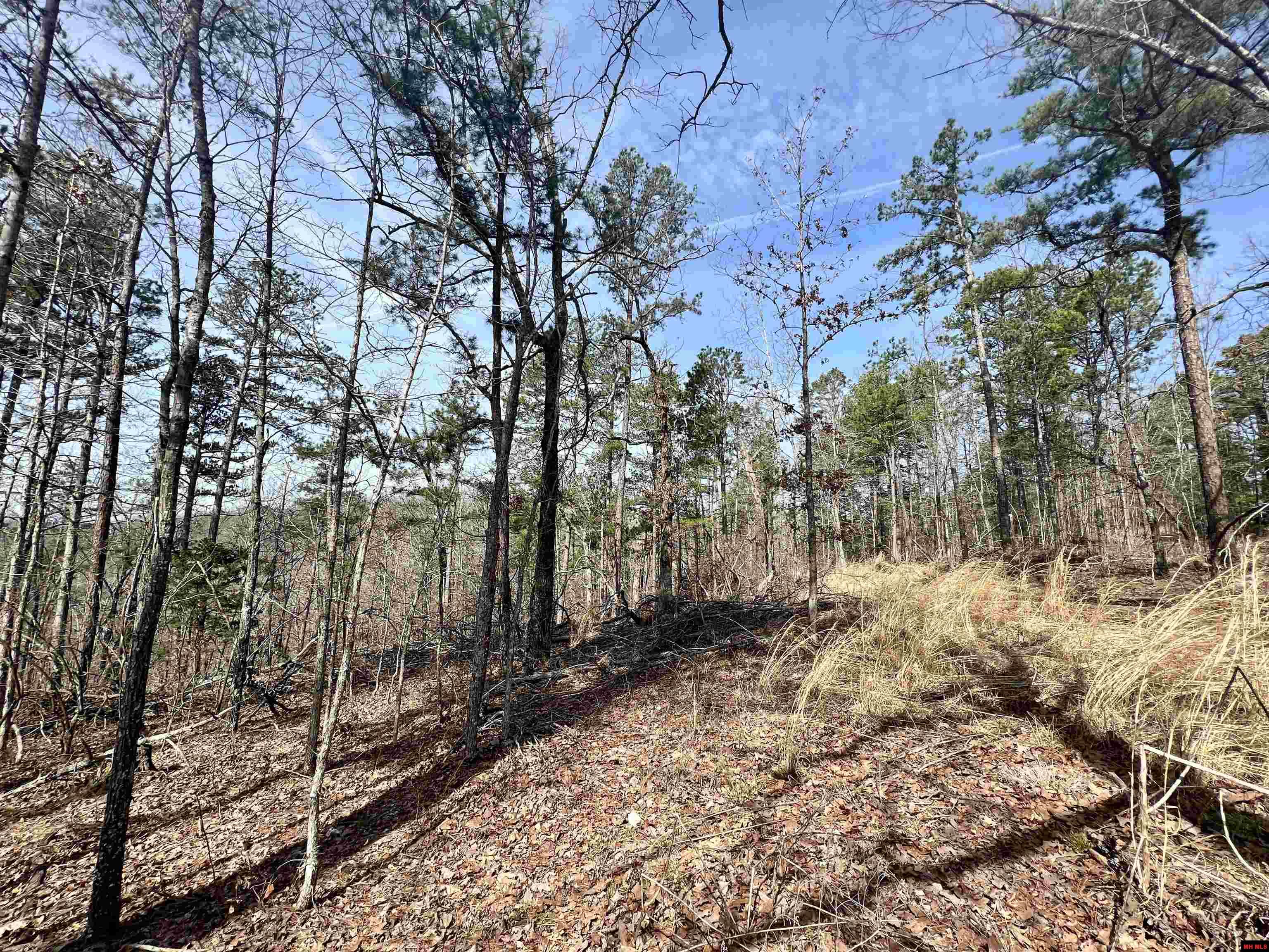 Tract 6 Ramblewood Trail