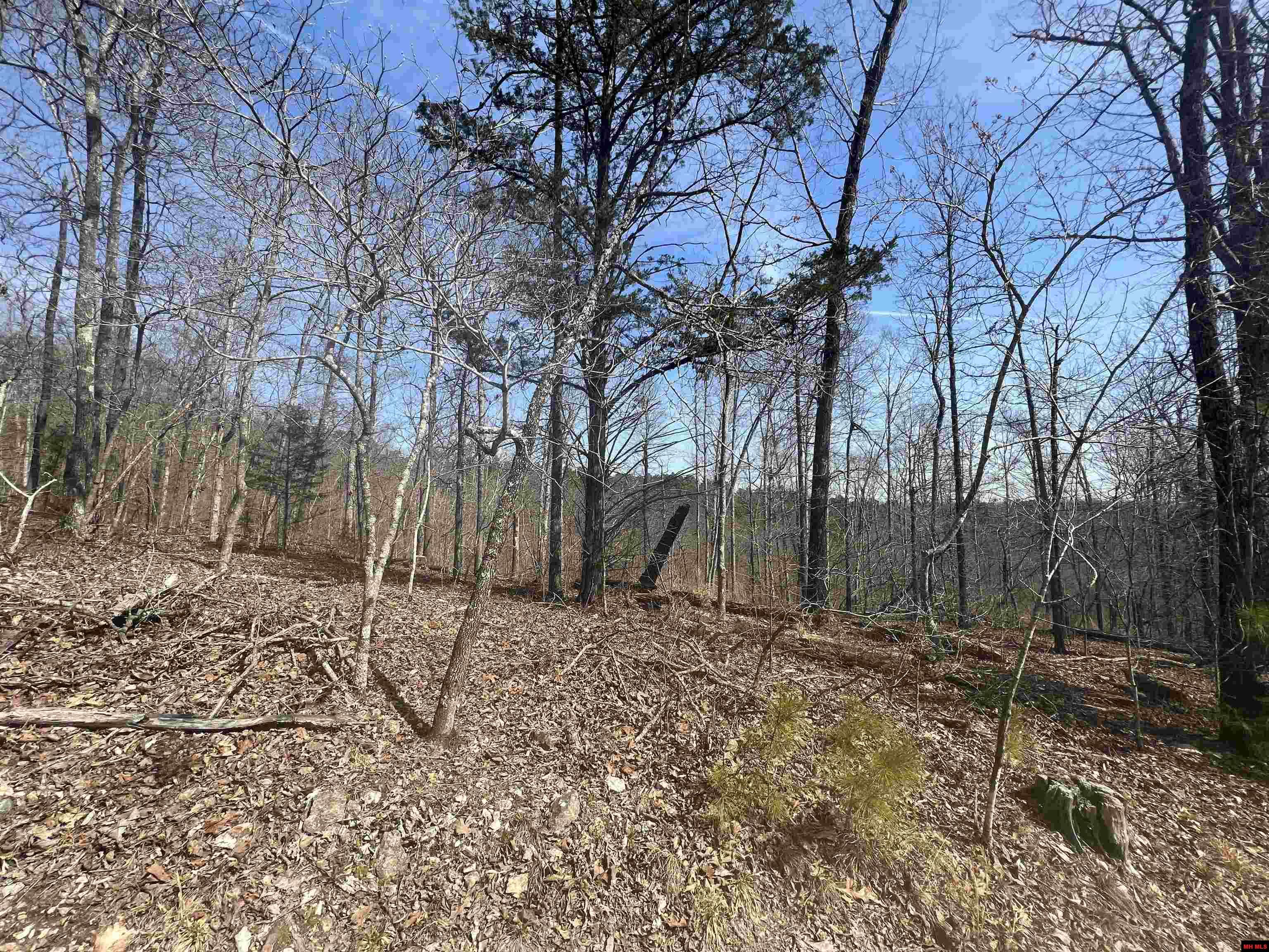 Tract 6 Ramblewood Trail