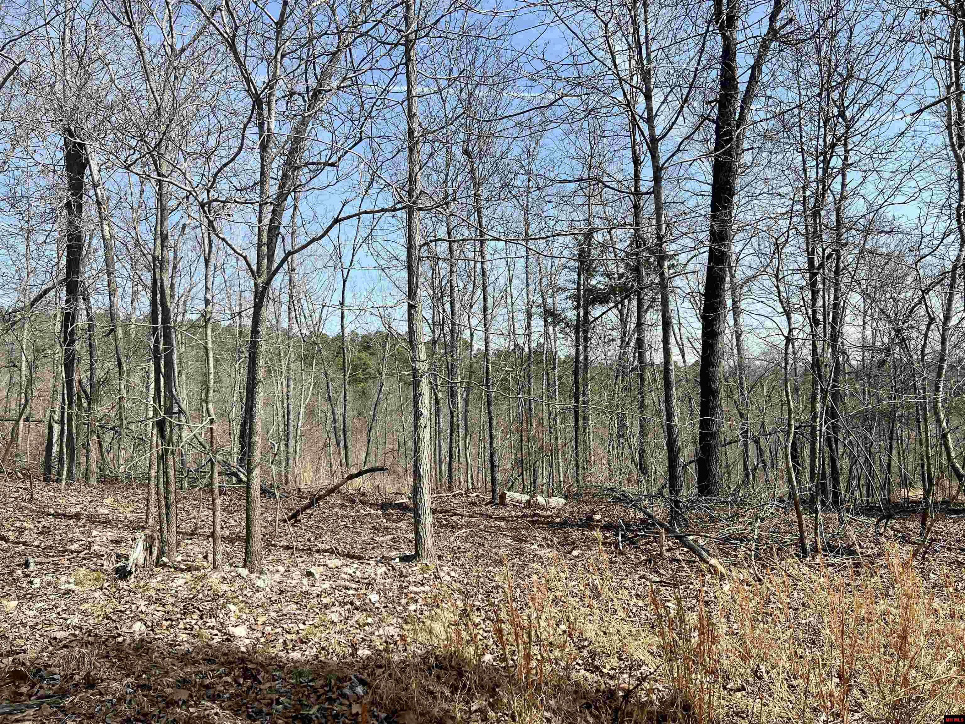 Tract 6 Ramblewood Trail