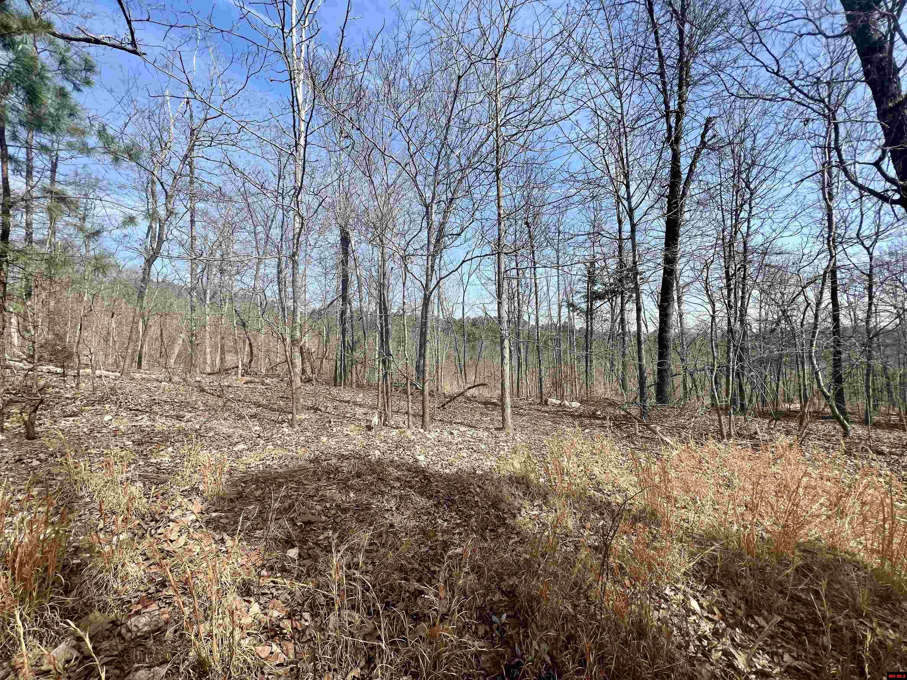 Tract 6 Ramblewood Trail