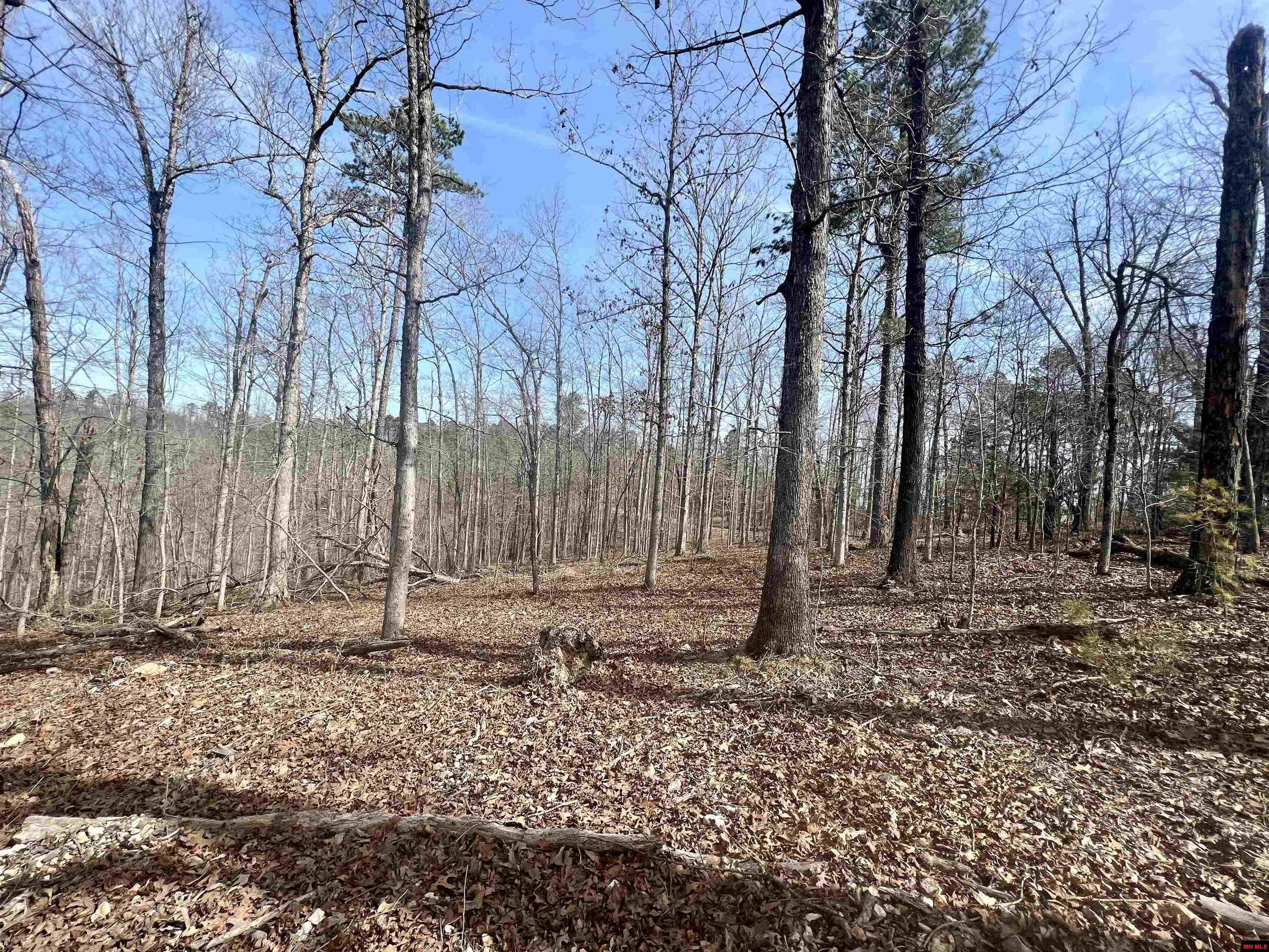 Tract 6 Ramblewood Trail