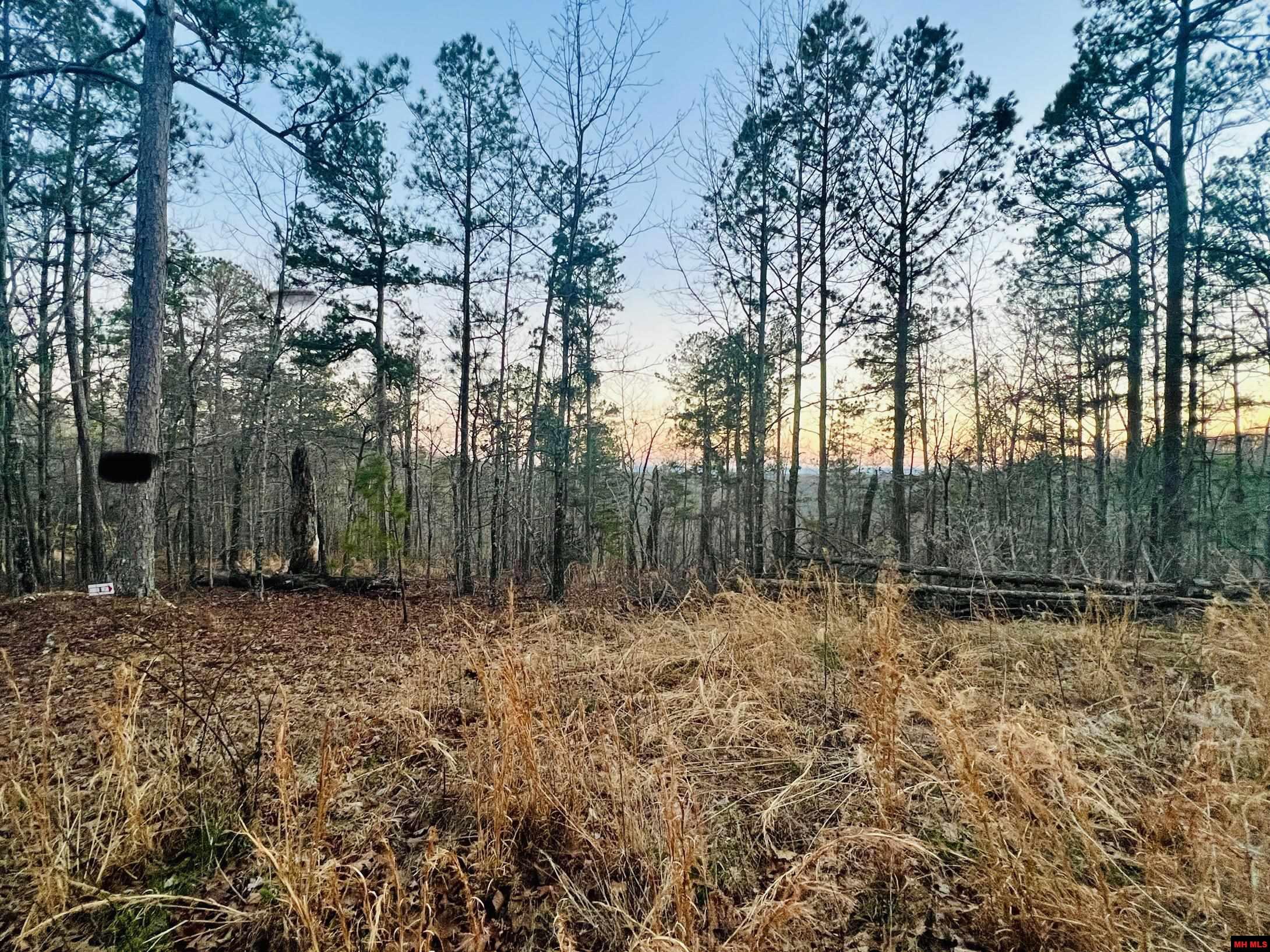 Tract 6 Ramblewood Trail