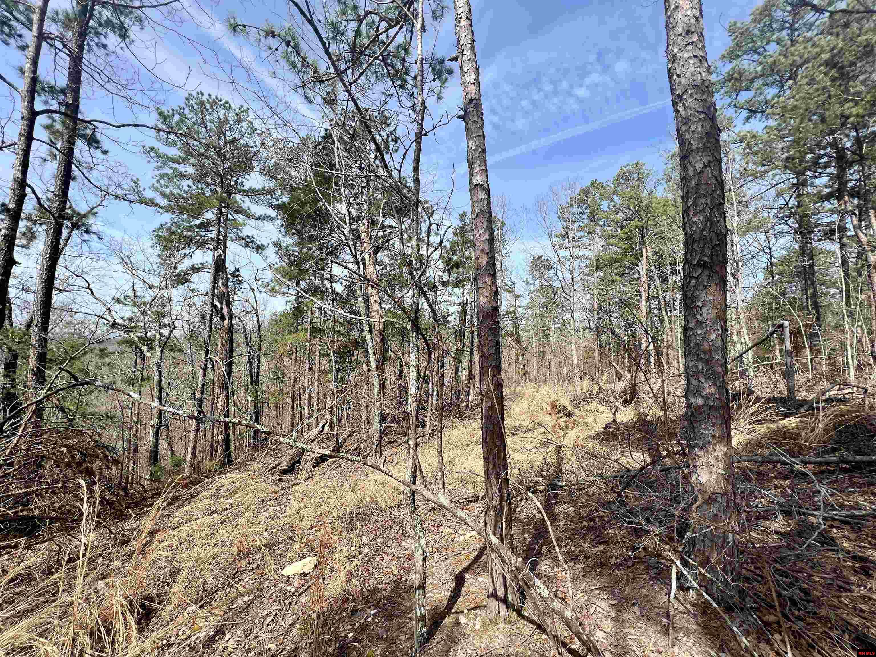 Tract 6 Ramblewood Trail