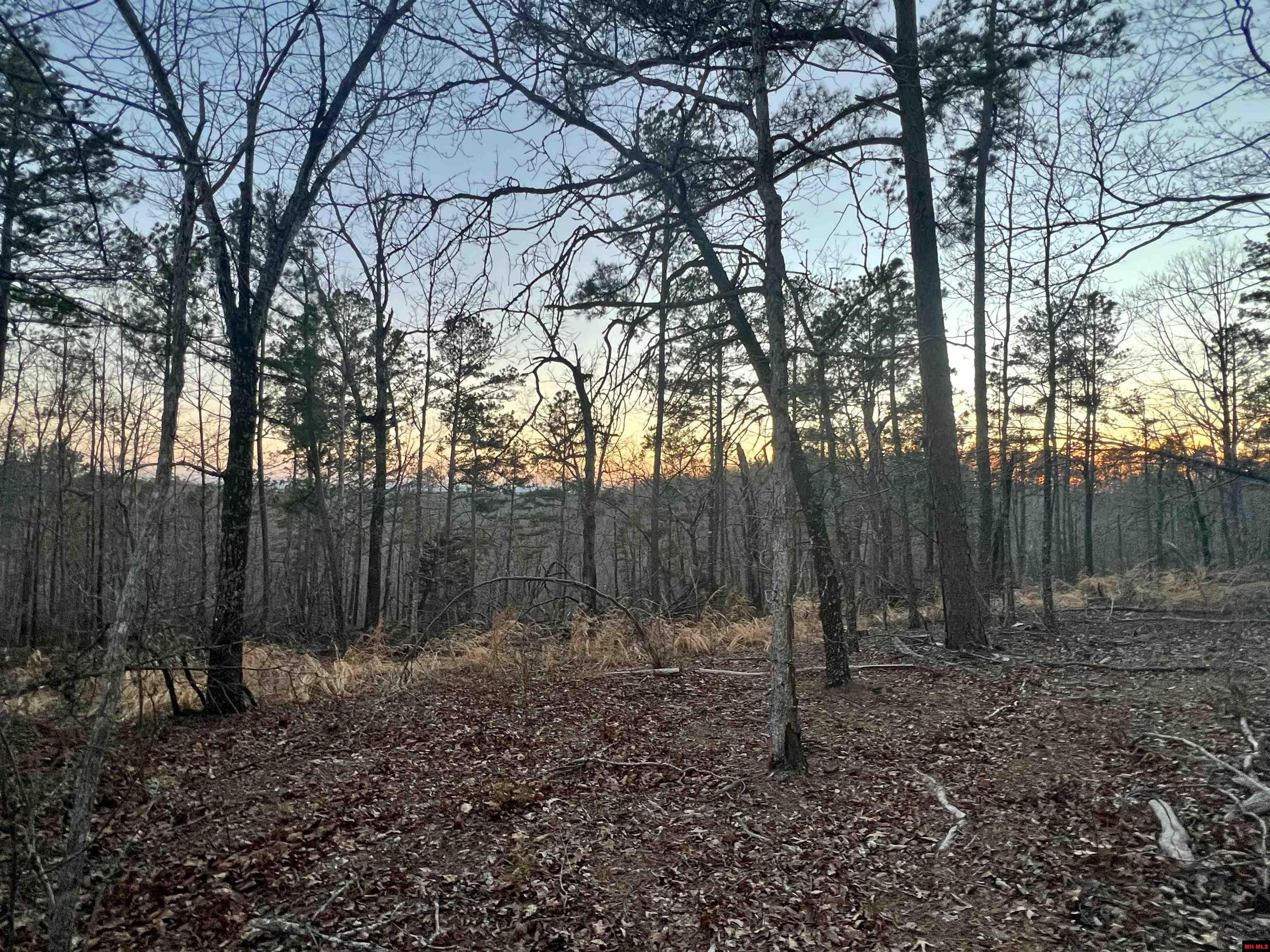 Tract 6 Ramblewood Trail