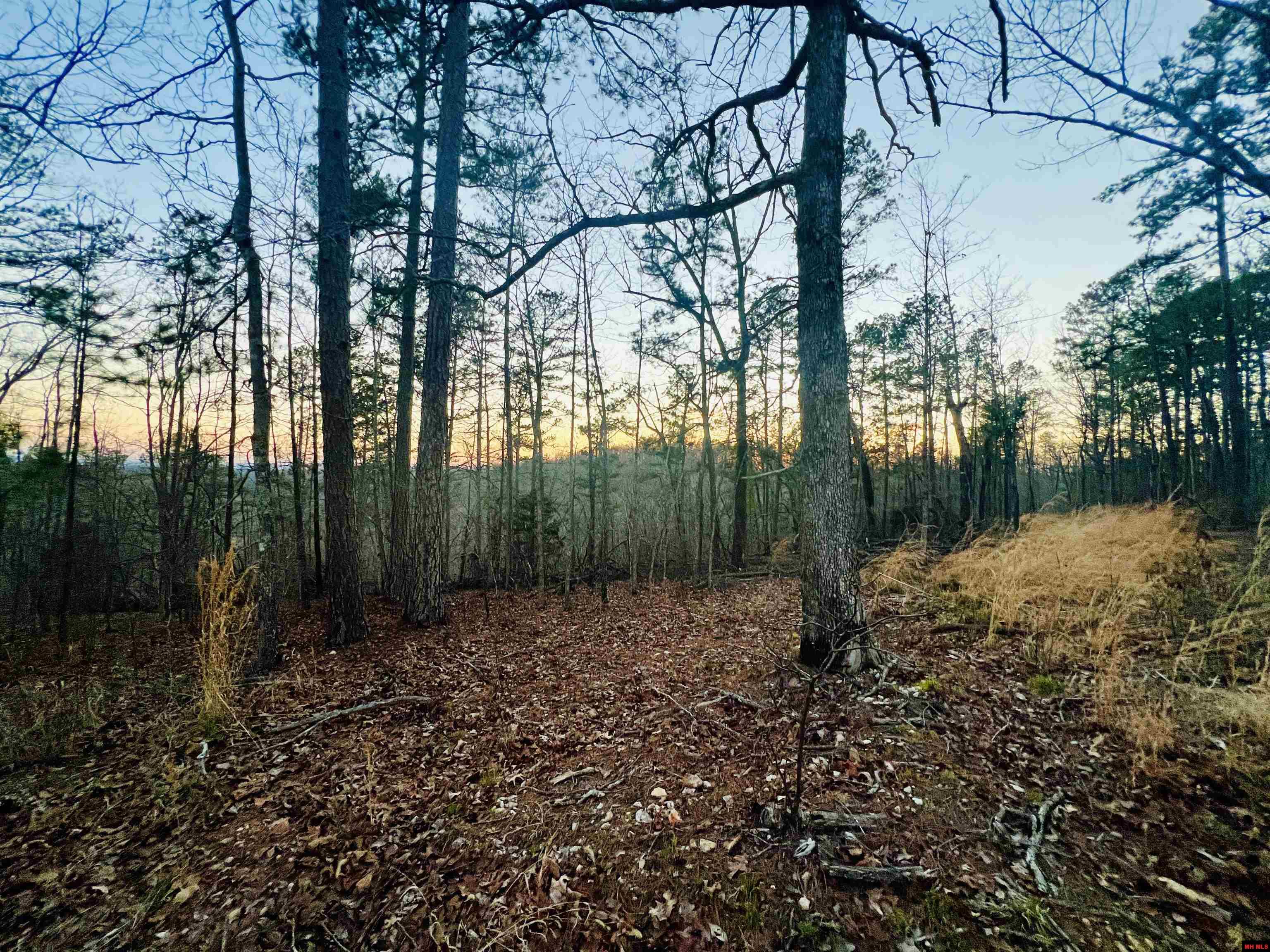 Tract 6 Ramblewood Trail