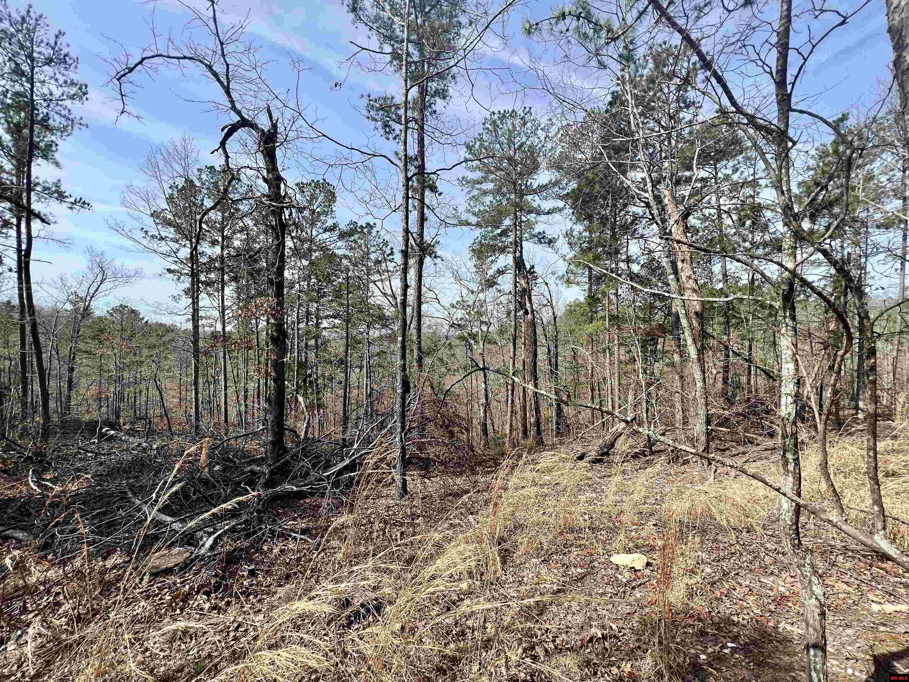 Tract 6 Ramblewood Trail