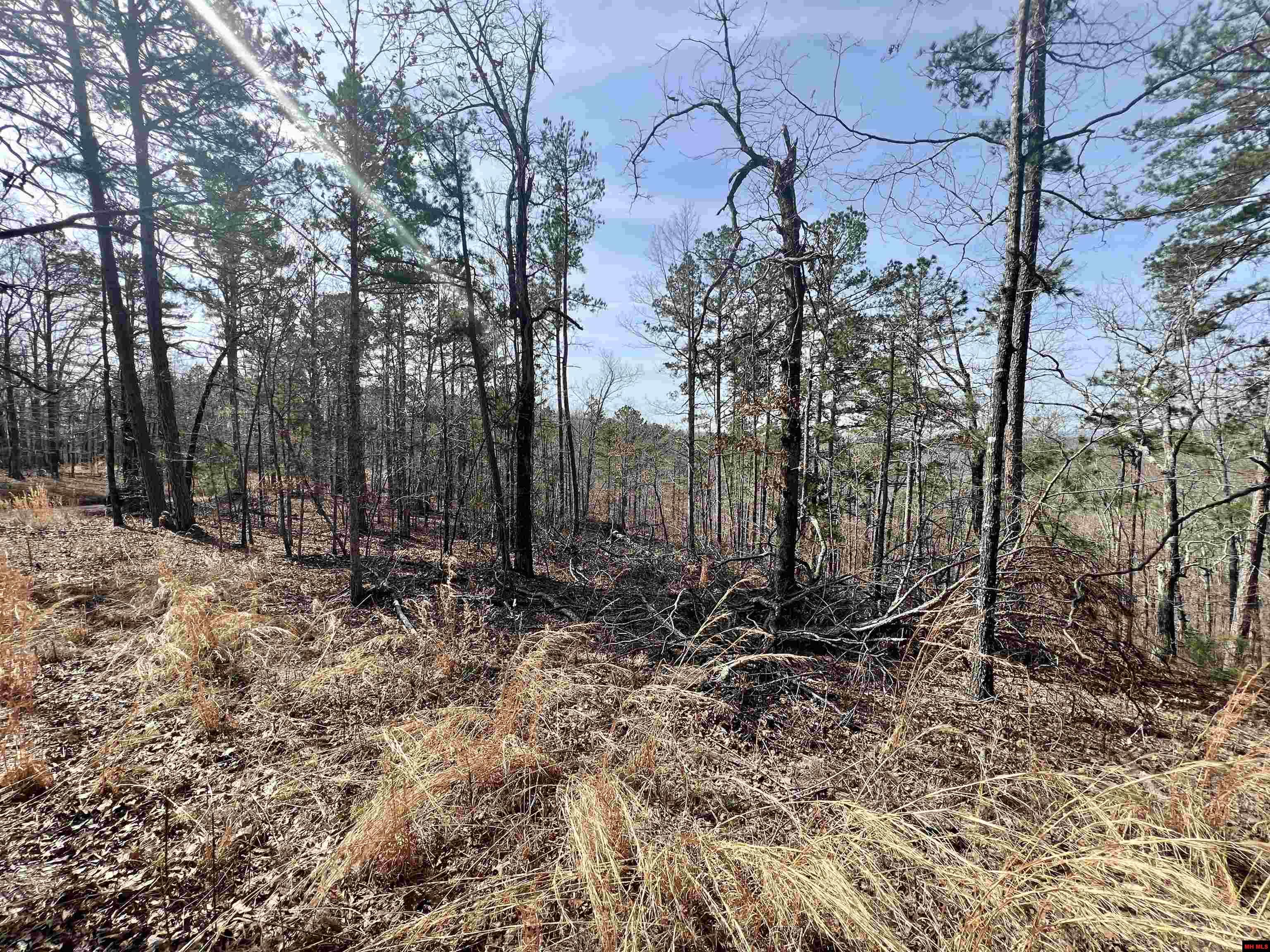 Tract 6 Ramblewood Trail