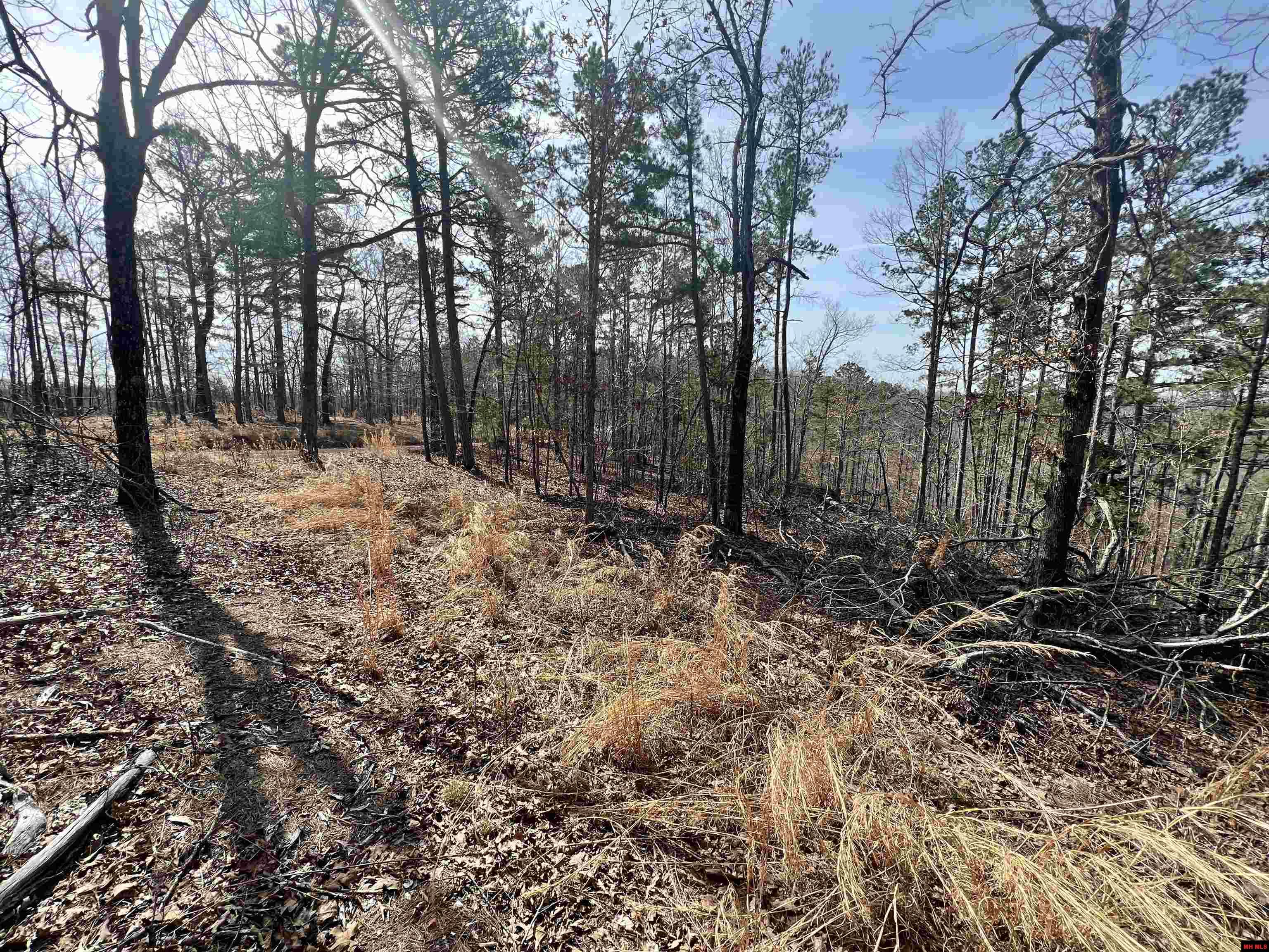 Tract 6 Ramblewood Trail