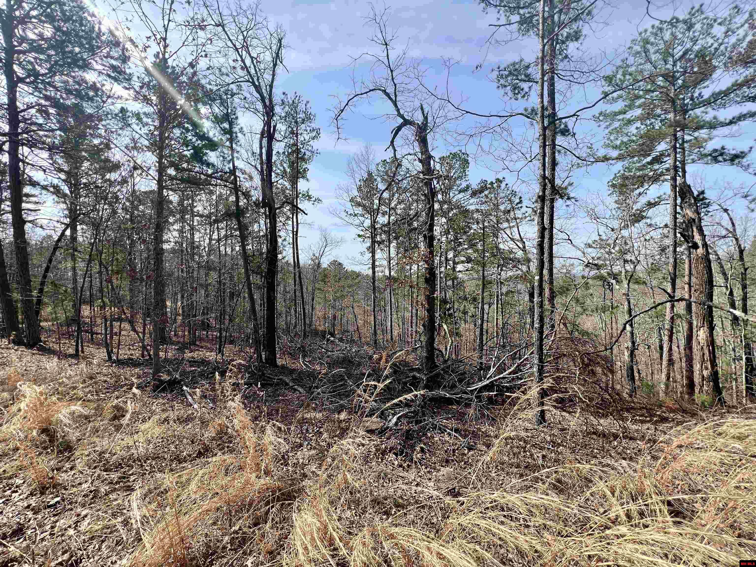 Tract 6 Ramblewood Trail