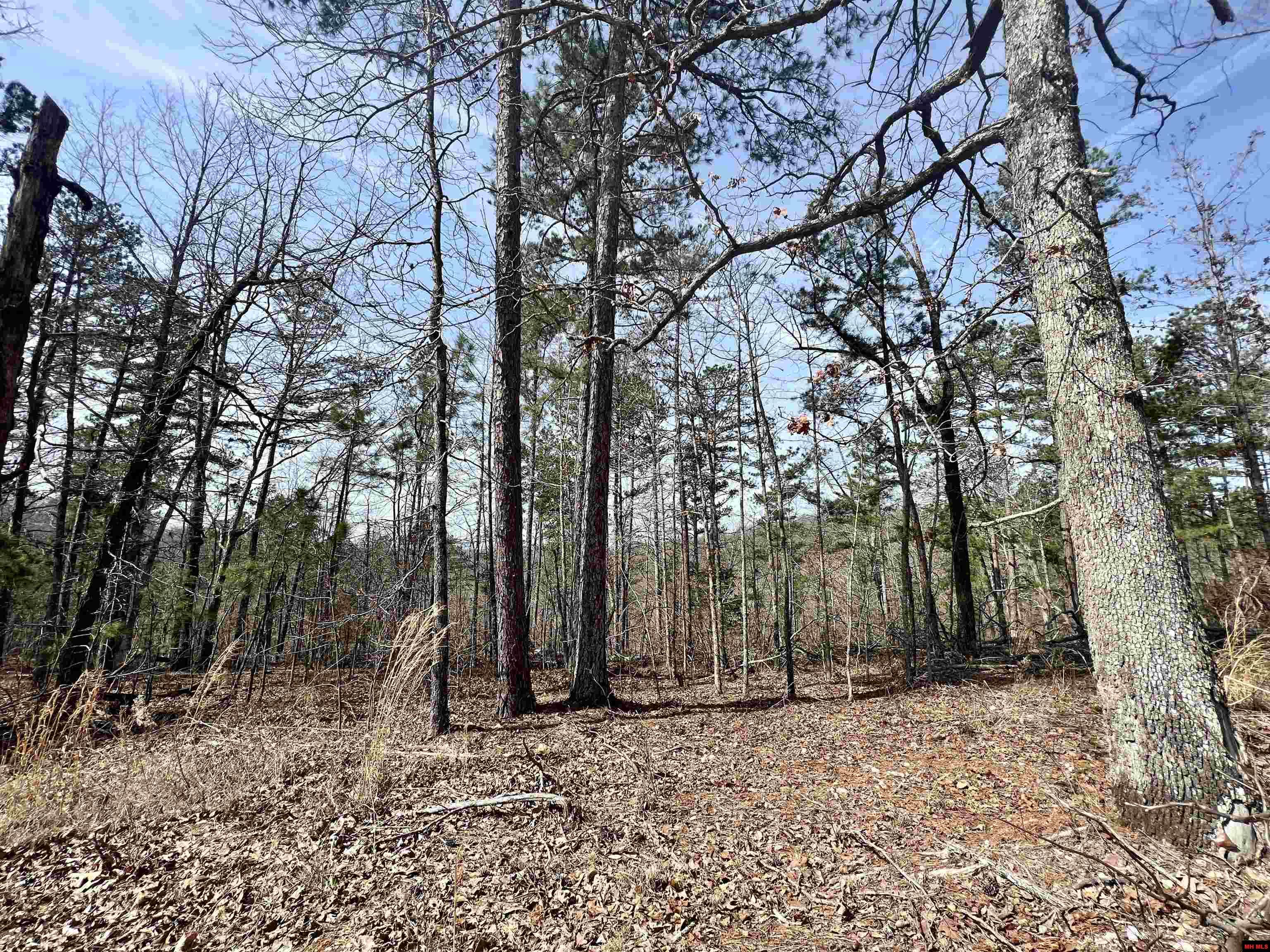 Tract 6 Ramblewood Trail